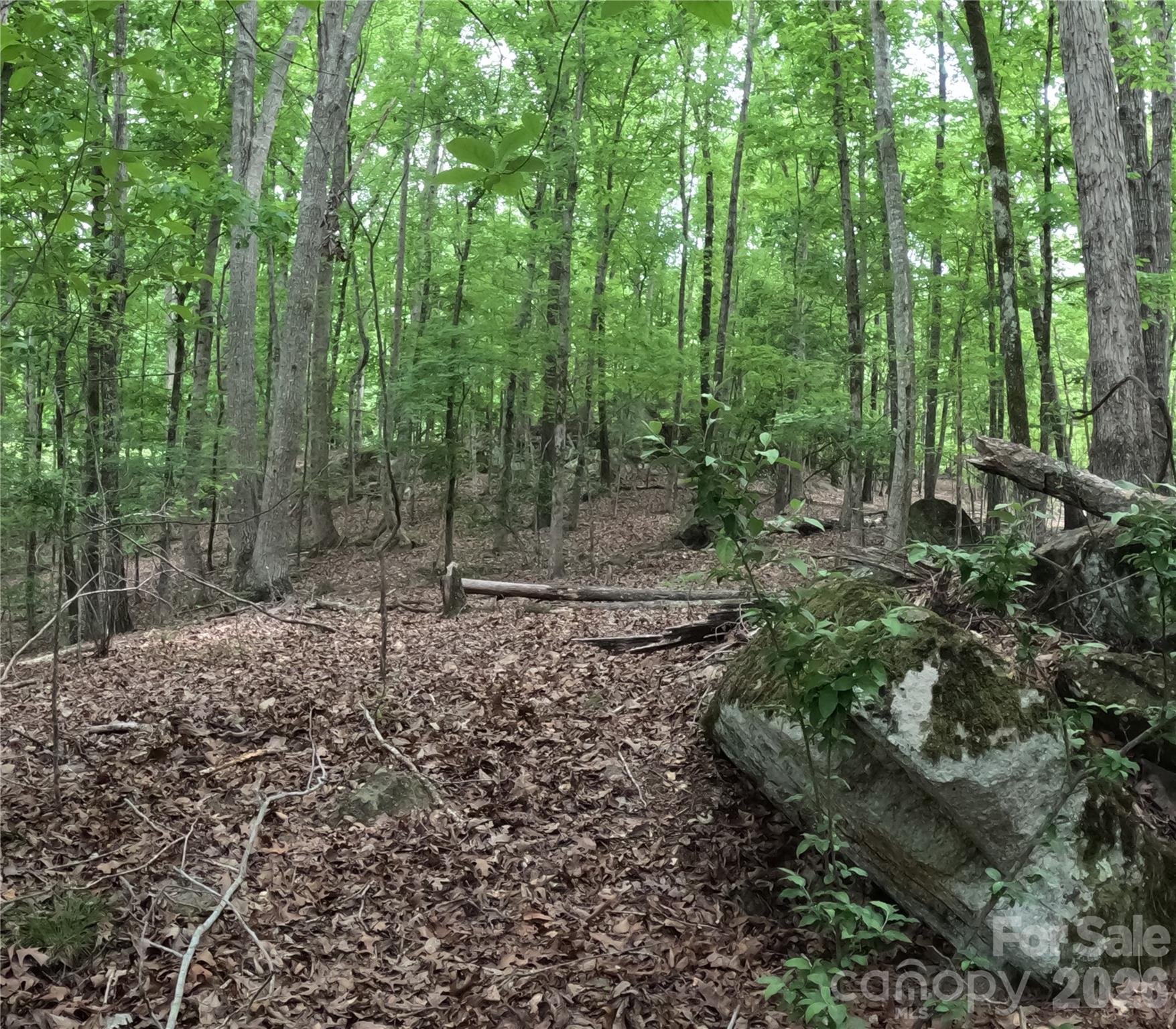 Debutary Pointe - Land