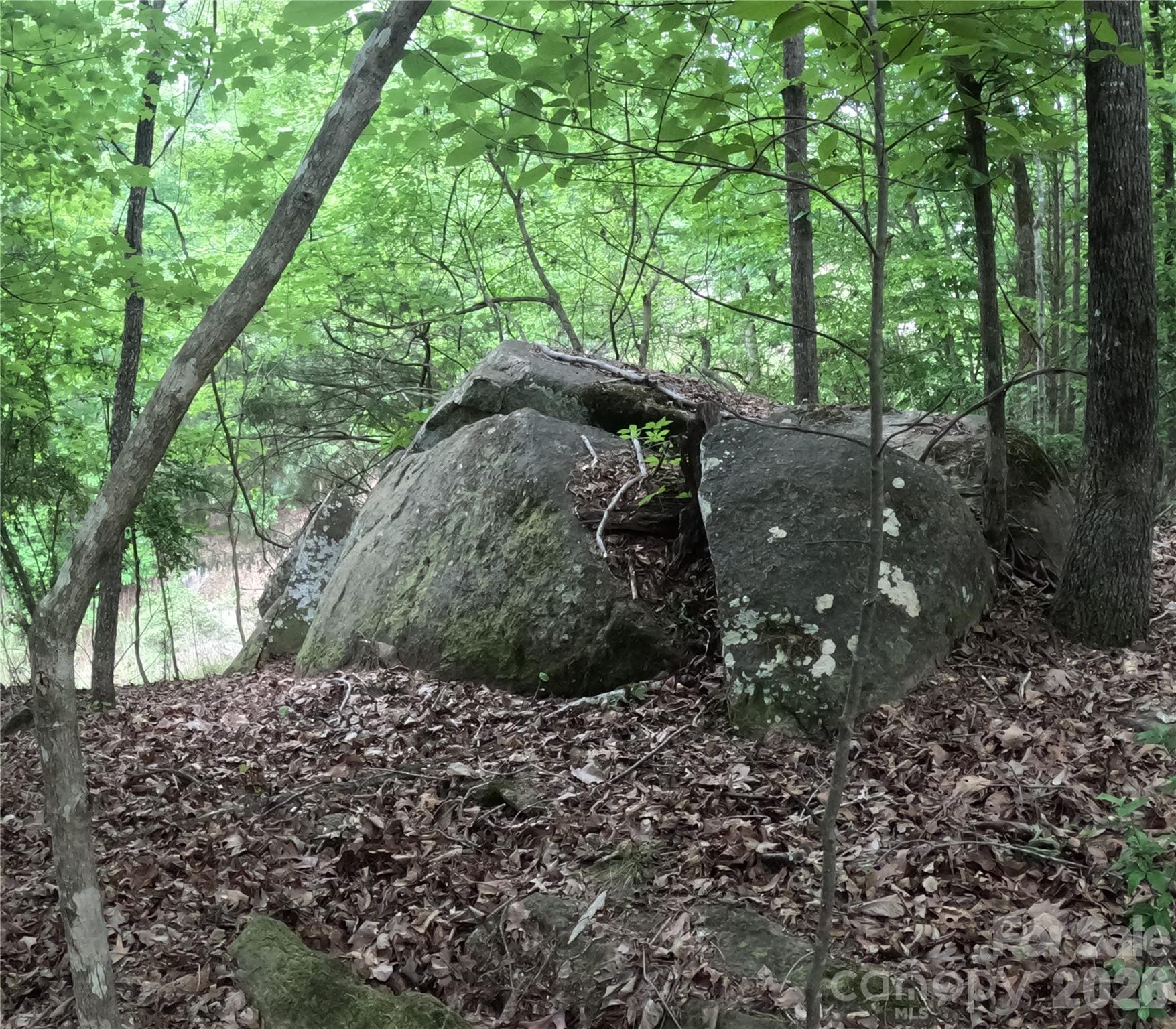 Debutary Pointe - Land