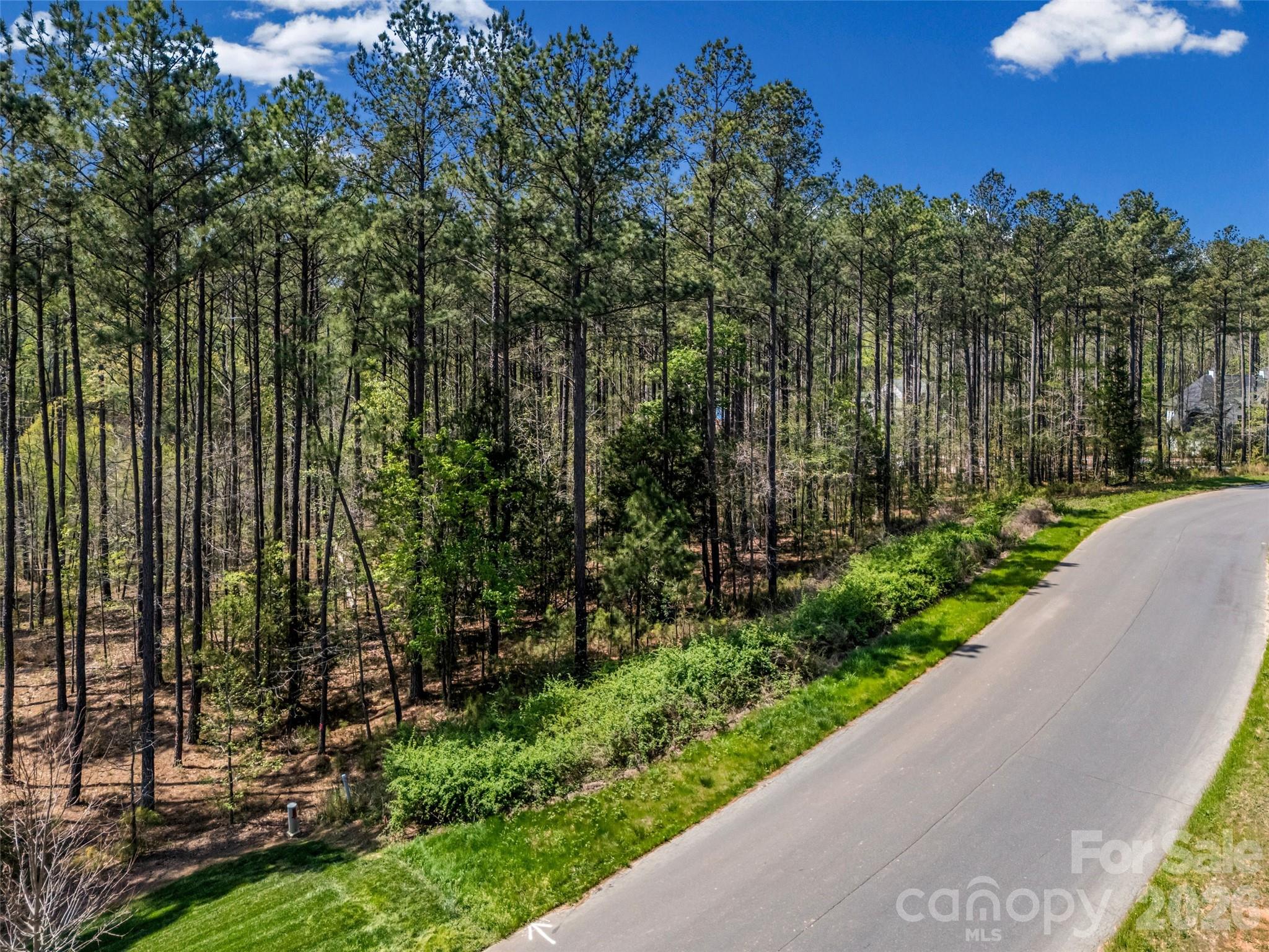 Riverchase Estates - Land