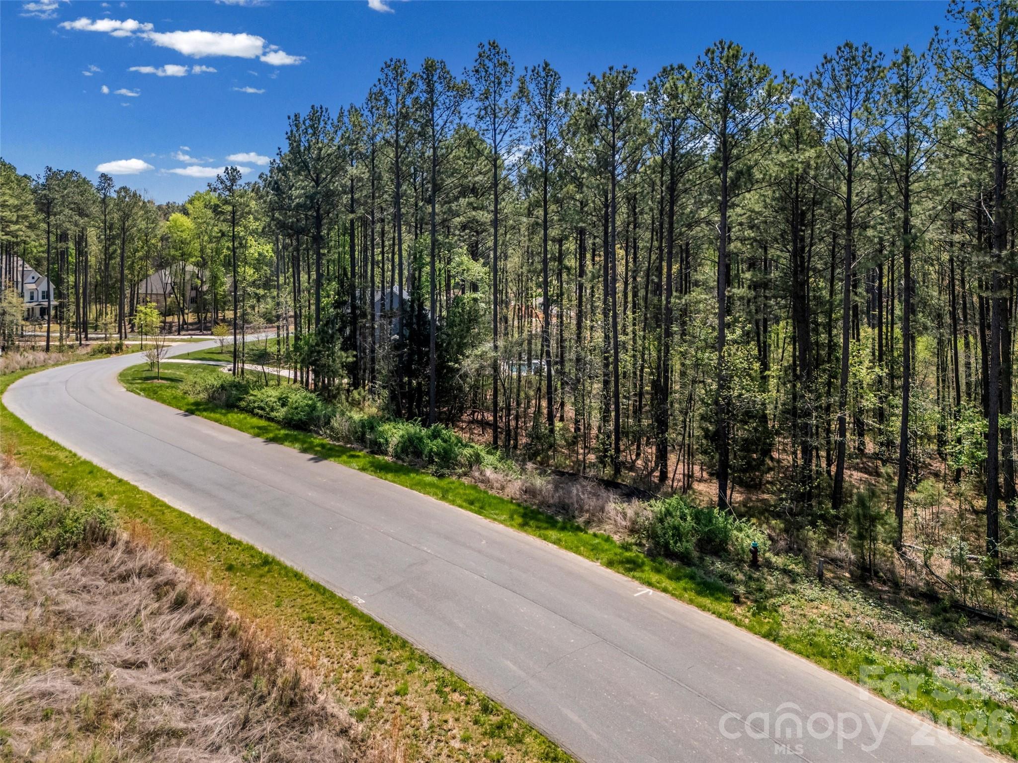 Riverchase Estates - Land