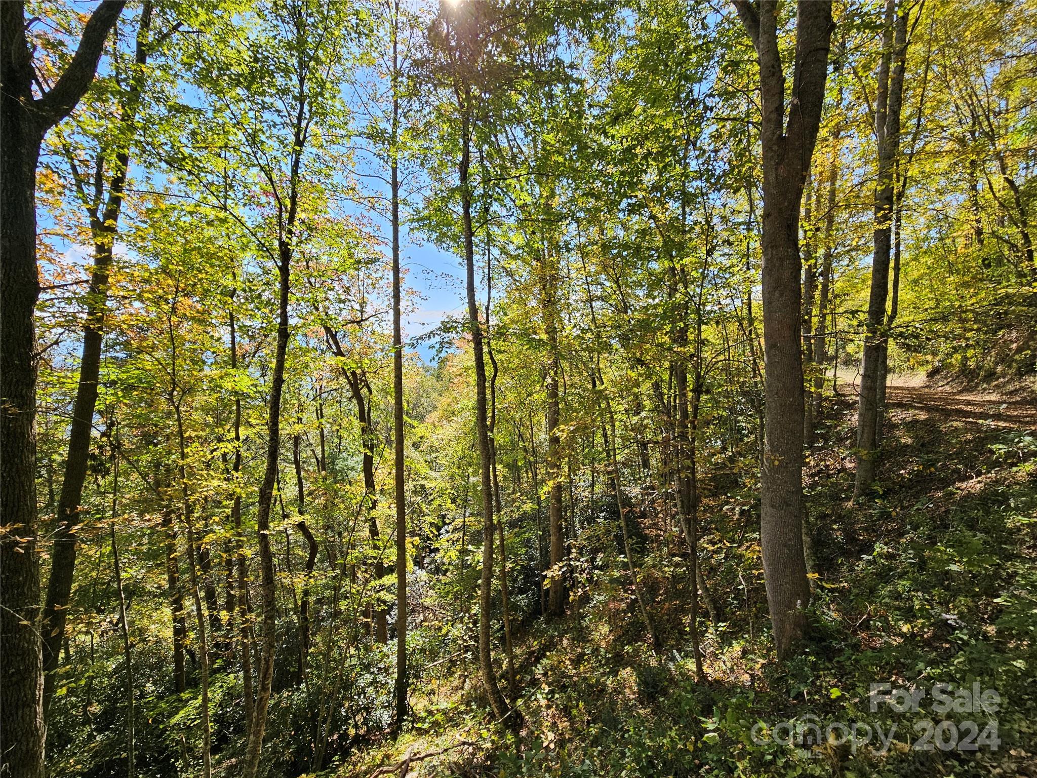 Hurricane Ridge Ltd - Land