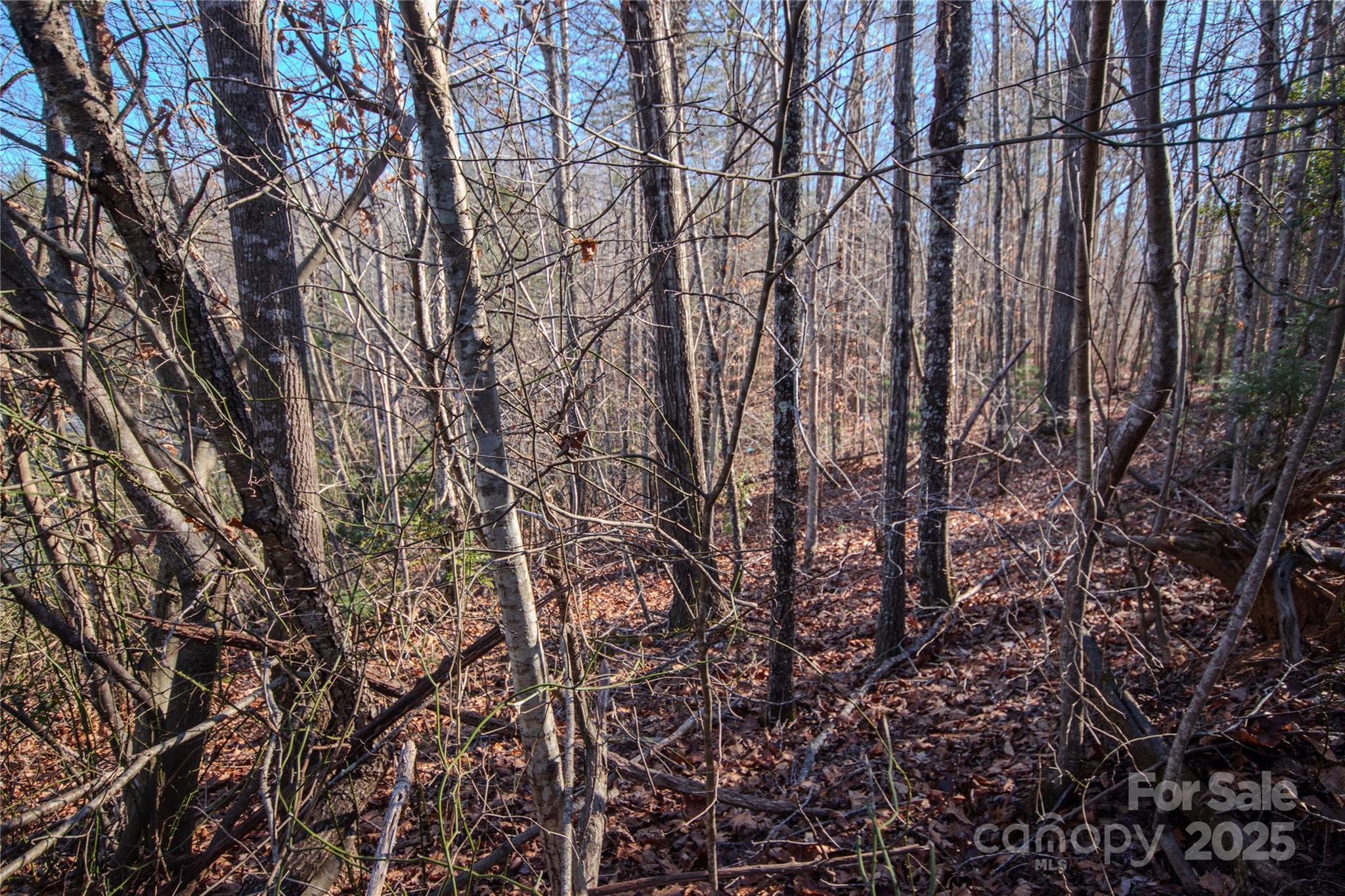 Huntington Woods North - Land