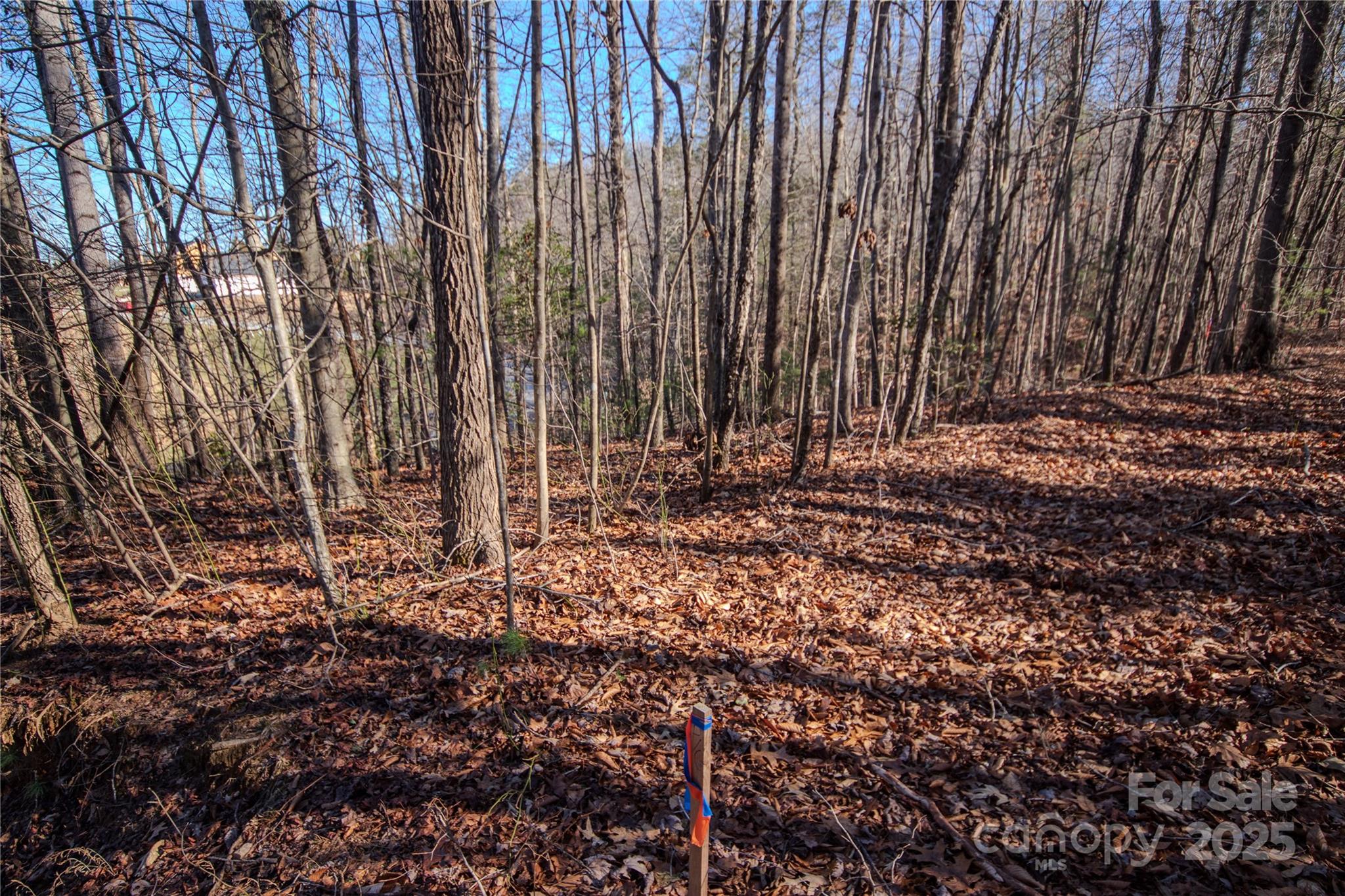 Huntington Woods North - Land