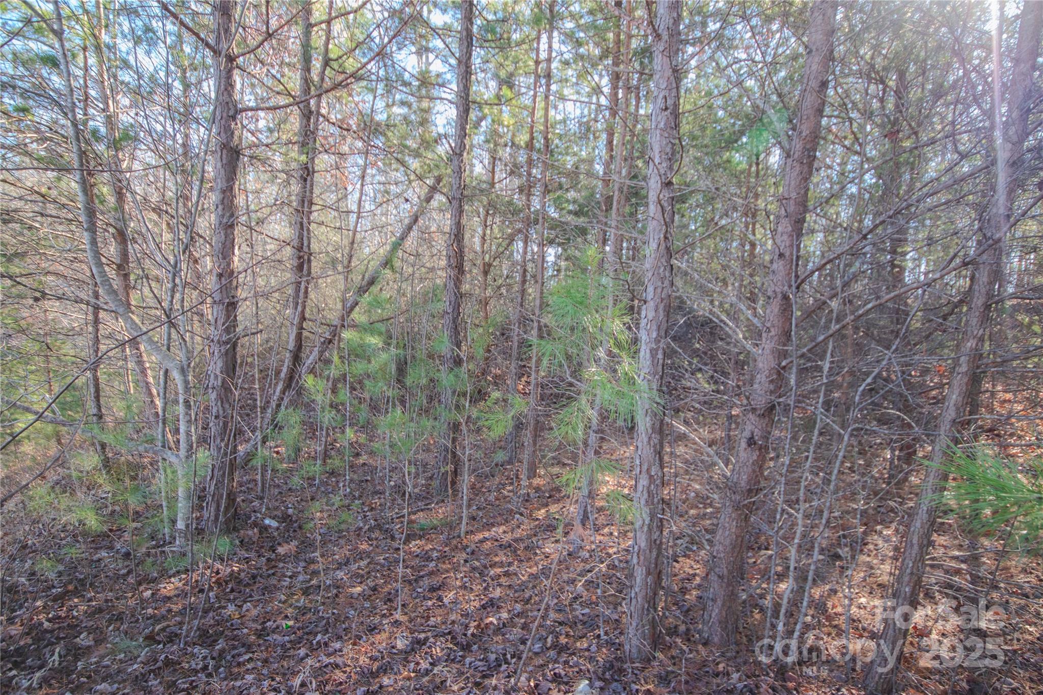 Huntington Woods North - Land