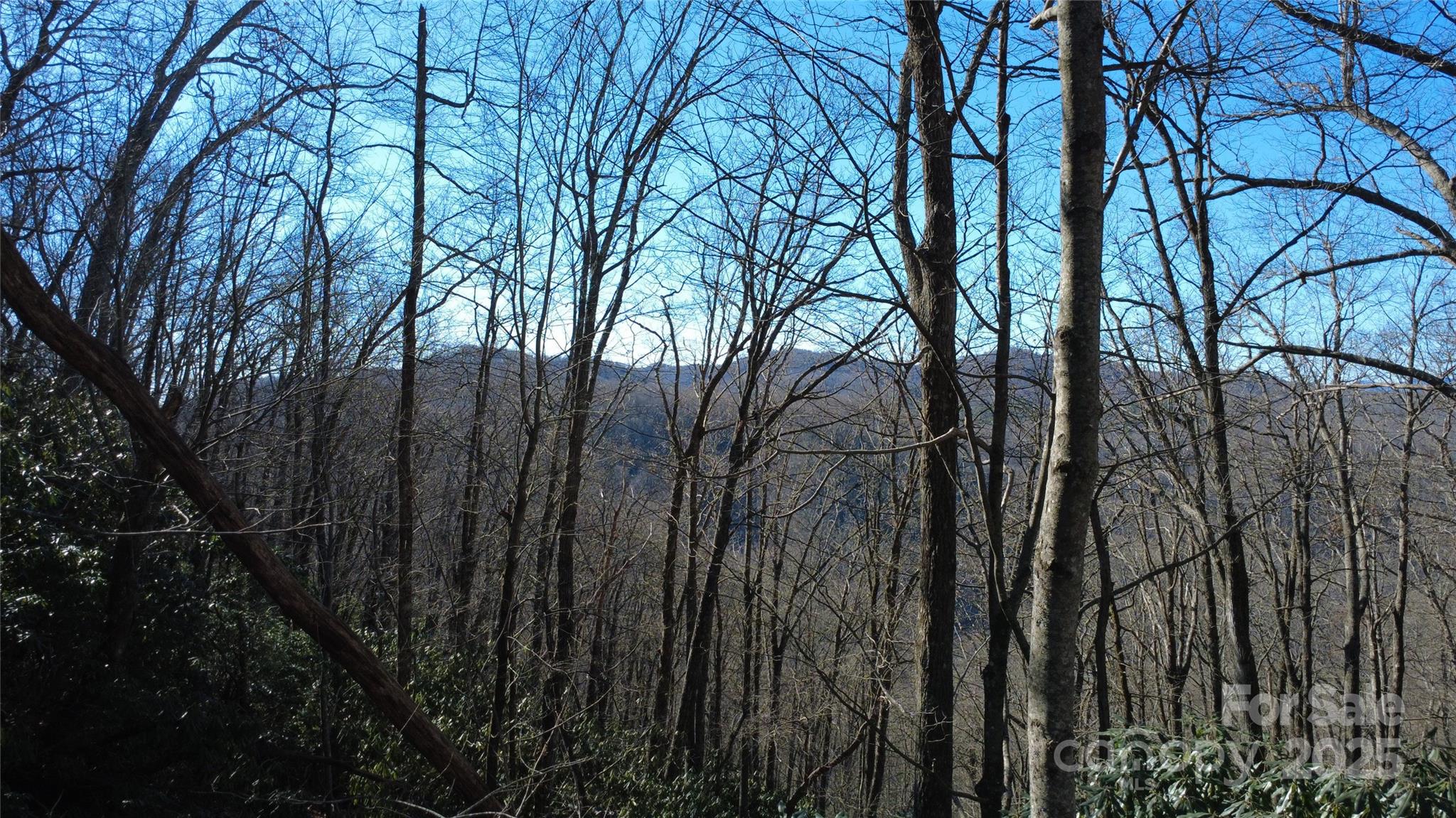 4.13 Acres of Mountain Serenity | Long-Range Views | Private Country Setting

Imagine your home set peacefully on the side of this mountain, where long-range views stretch across the horizon and nature surrounds you in every direction. Located in the Joshua Summit neighborhood inside of the Line Runner Ridge neighborhood, this 4.13-acre parcel offers a rare blend of privacy, country charm, and accessibility—perfect for a mountain getaway or future full-time retreat.

The property is currently wooded, allowing you to enjoy a natural, secluded feel, or selectively clear to open up even more expansive mountain views. Wildlife is abundant, the setting is quiet and private, and the gravel road access makes it easy to reach while still feeling worlds away from it all.

Though the land is steep, there is easy access from the road, and utilities are conveniently nearby—making your vision of a peaceful mountain home more attainable. Whether you’re dreaming of a cozy cabin, a modern mountain escape, or a private retreat, this property invites you to slow down, unplug, and reconnect with nature.

A true country escape with endless potential—come experience the calm of mountain living.