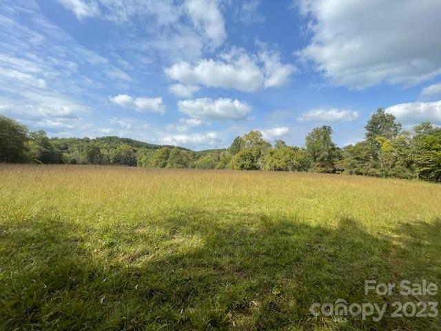 Over 500 feet river frontage on the Green River in Polk County. This property boast over 113+/- acres with mature hardwood forest and mountain views as you enter the property. Views could be increased with minimal clearing. Approximately 10 +/- acres of grass sewn fields. Three large bottoms lined with streams/ creeks and ending with the Green River. This property has so many possibilities. This property has hardwood, pine, mountain laurel, wildflowers and various ground covers. Wildlife lovers dream with bear, turkey, deer and small game.