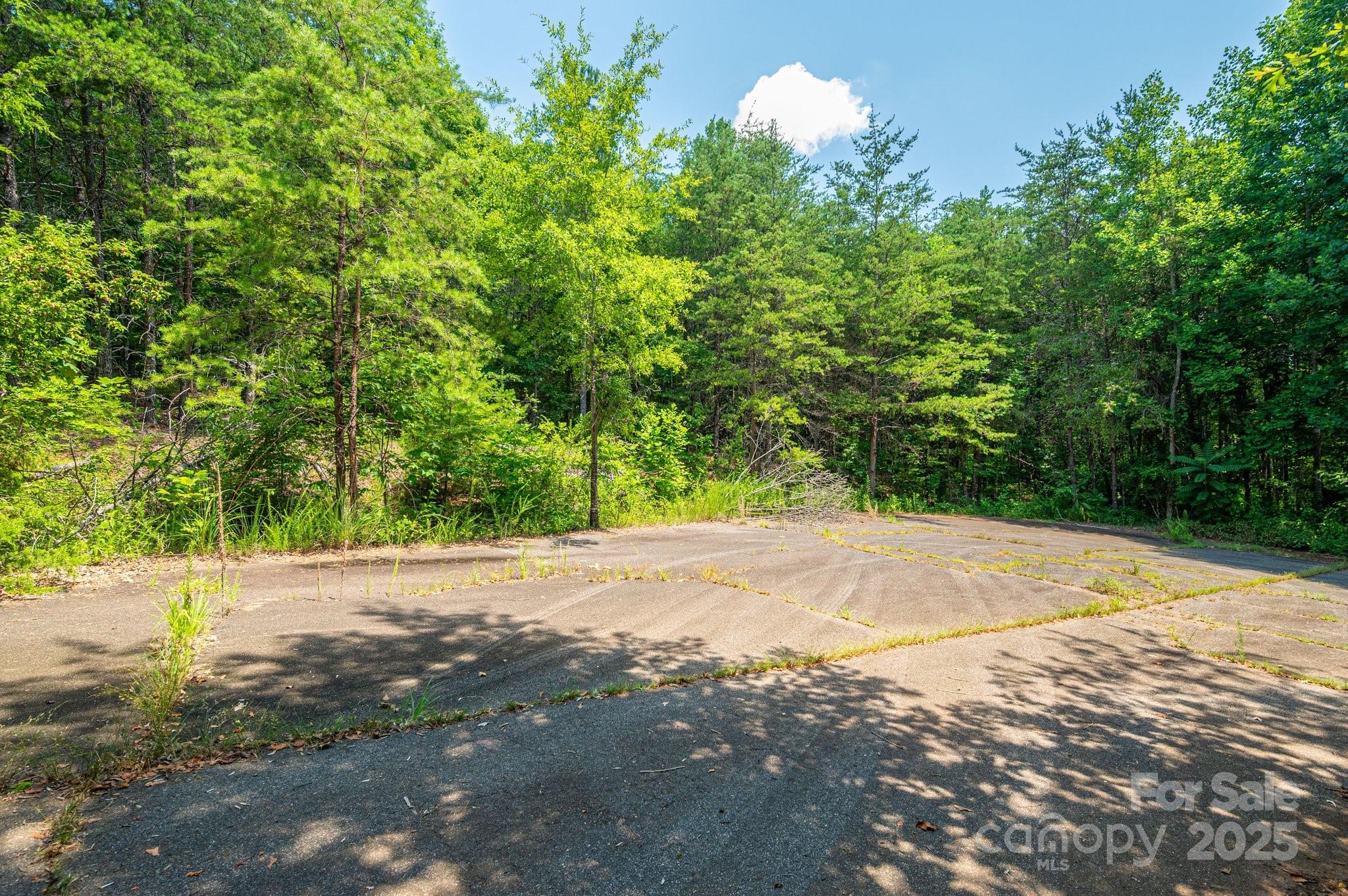 Bring your own builder or ask about ours! This historically rich cul-de-sac community offers peaceful living just 5 min from downtown Rutherfordton, 4 min to R-S Central High, and 6 min to Rutherford Regional Health. Centrally located—only 20 min to Forest City, Tryon International Equestrian Center, and Cleghorn Golf & Sports Club, and within 1 hour of Asheville, Hendersonville, and Charlotte. Approx. 0.5 to 1+ acre wooded lots with city water and underground utilities. Septic needed. Located in the "Geo-thermal Belt" for a mild year-round climate—perfect for walking the Purple Martin Trail or enjoying local festivals, concerts, camping, and equestrian events.