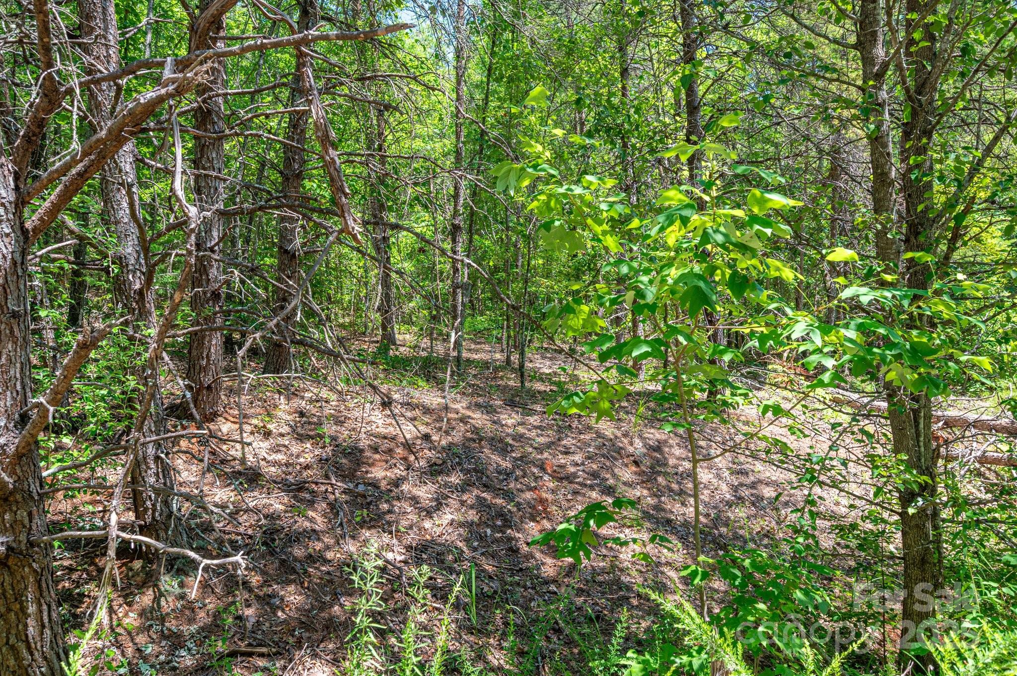Westbrook Acres - Land