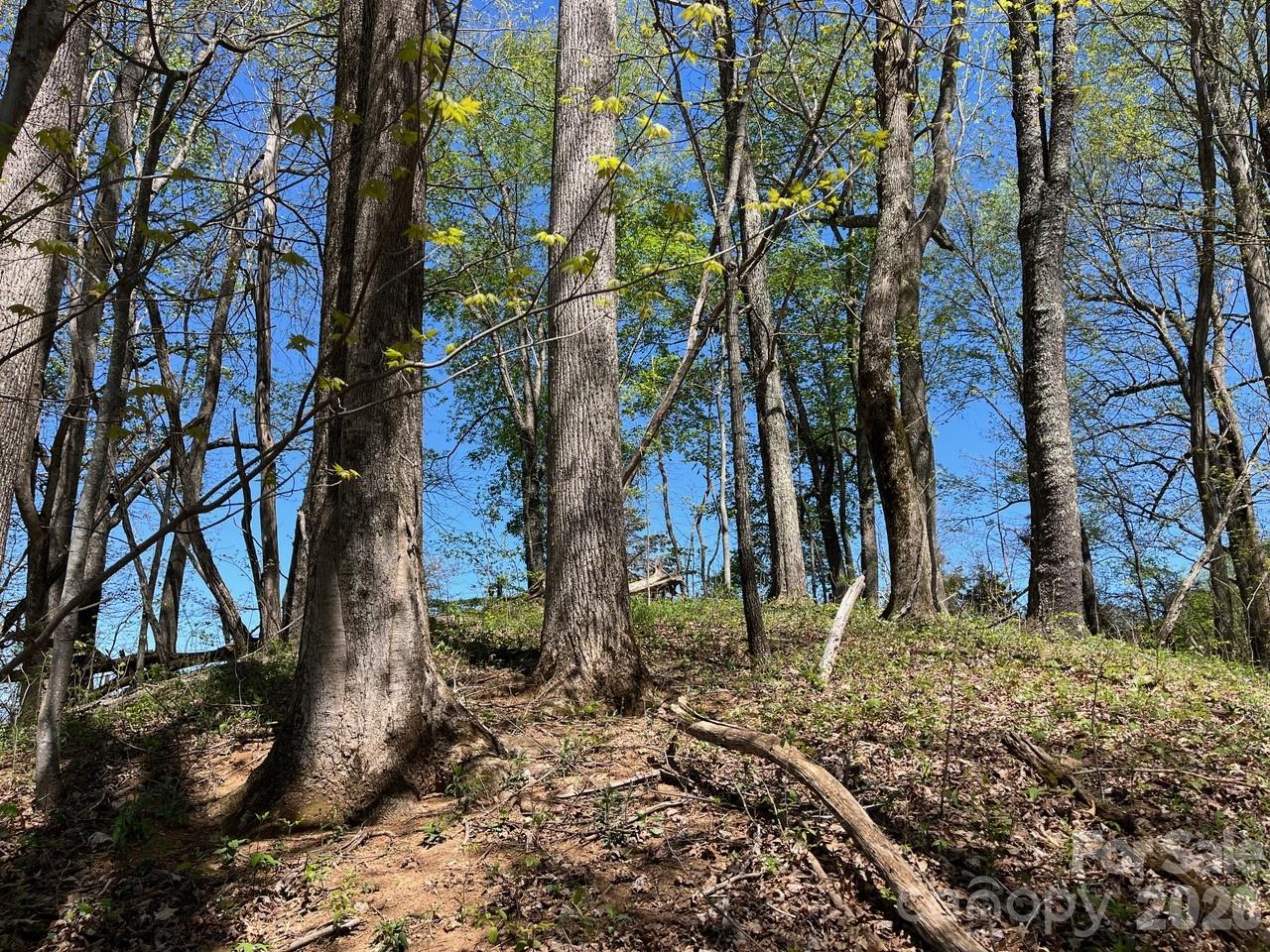 Discover the perfect blend of privacy, natural beauty, and convenience with this stunning 12.3-acre mountain property. Nestled in wooded setting, this expansive parcel offers the exciting potential for mountain views with selective clearing—create your dream vantage point and enjoy the scenery year-round. Potential for spring water on the property. Whether you're looking to build, invest, or simply escape the noise, this land offers endless possibilities. Ideally located just a short drive from shopping, dining, and essential services, you’ll enjoy both seclusion and accessibility. Outdoor enthusiasts will love being close to the Great Smoky Mountains National Park, where hiking, wildlife, and adventure await. Don’t miss this rare opportunity to own a slice of mountain paradise with convenience, natural features, and incredible potential.