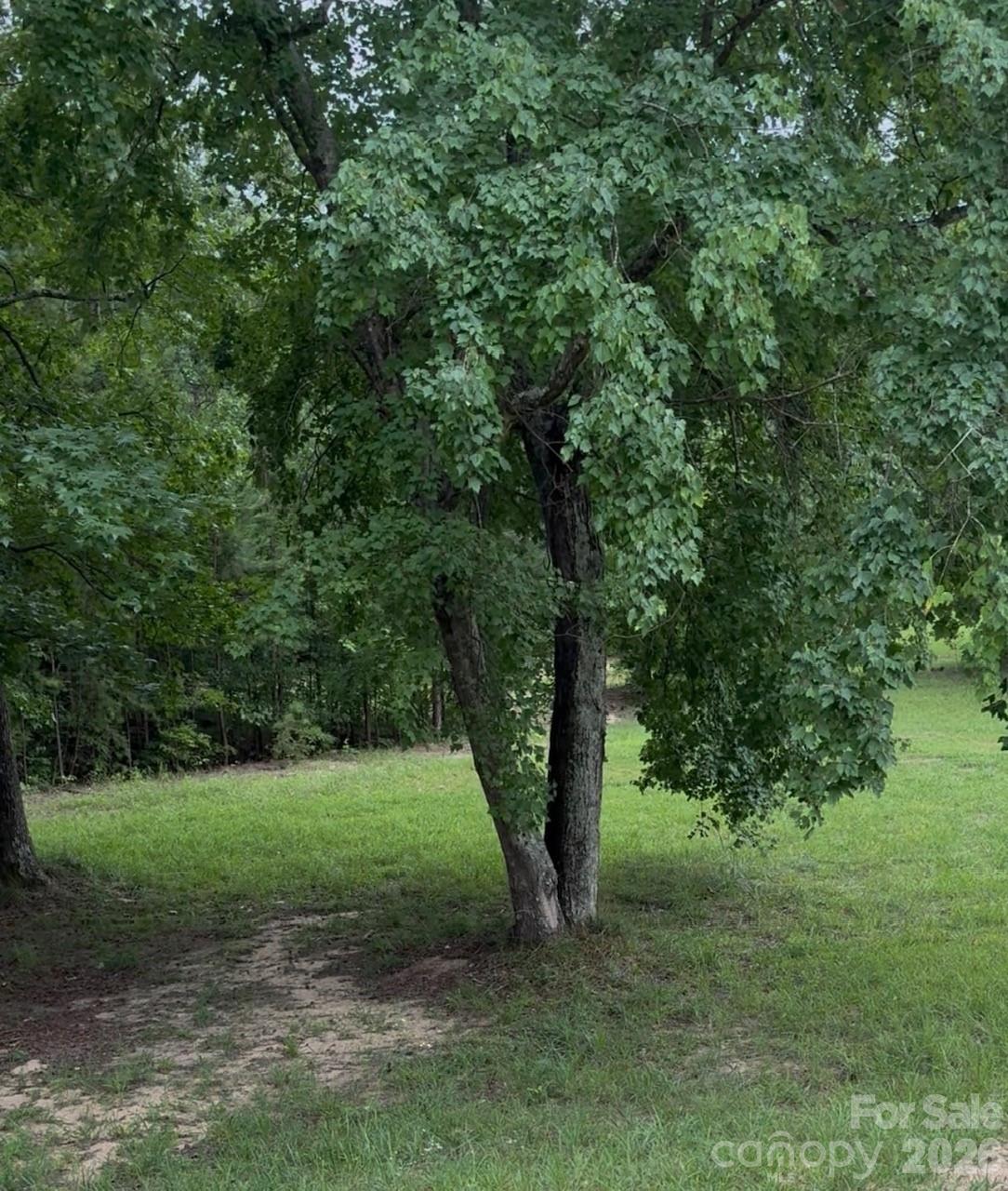 Beautiful lot to build your dream home on.  The entire front of the lot is on a shared pond with no neighbors close by.  This lot is very secluded on a cul-de-sac and down a long drive to the water.  There is a single wide mobile home that needs alot of work and is conveyed as is.  There is a well and septic on the property.  Come be one with nature and check this beauty out before it's gone.  Cross referenced with MLS 4406166