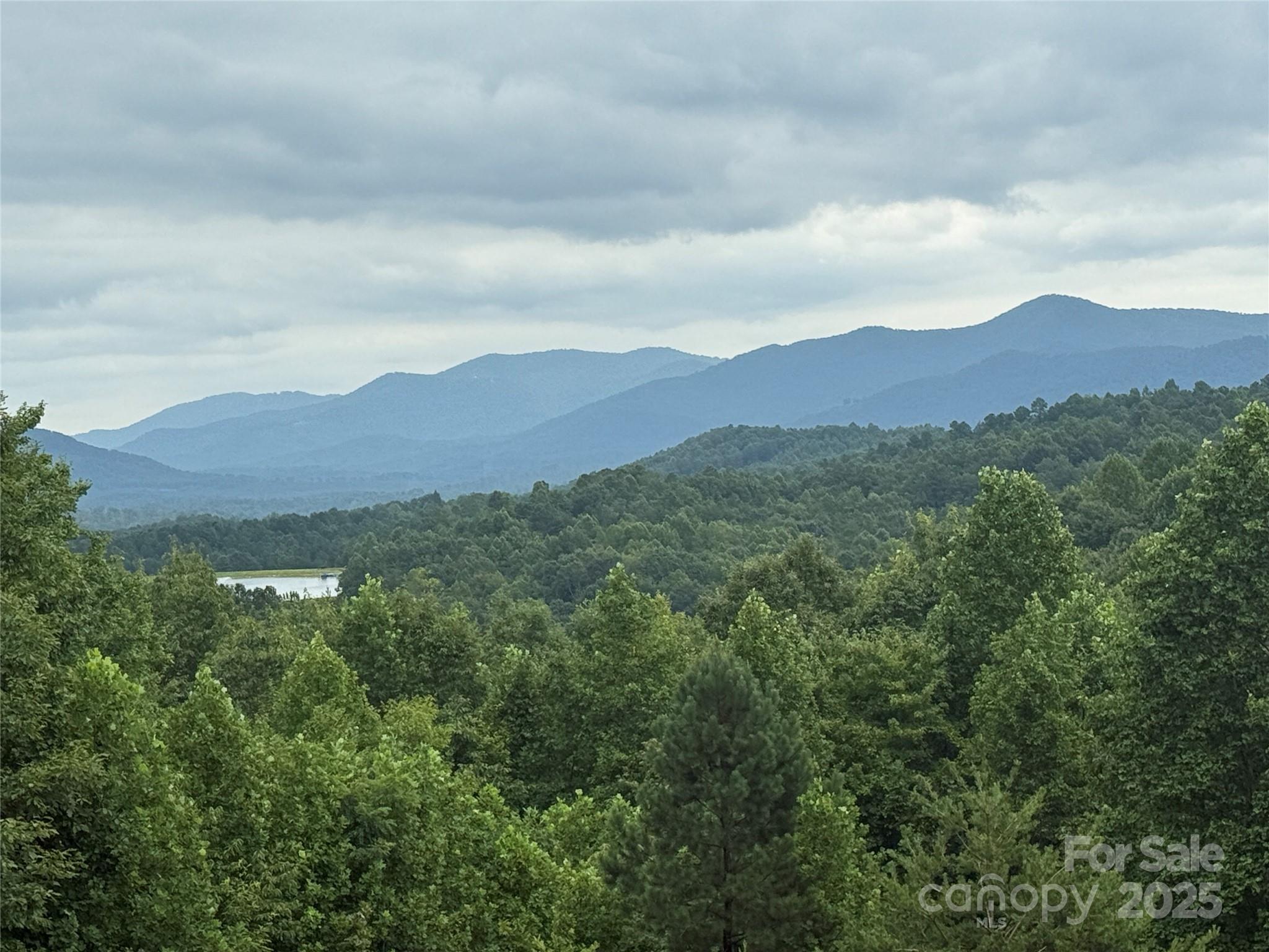 Imagine waking up to this amazing view!  With an easterly facing view, you'll enjoy breathtaking sunrises and cool shady afternoons. This 1.77 acre homesite offers a gentle slope that's perfect for a walkout basement and a backyard area for kids, pets, gardening, or just enjoying the occasional visit from the local wildlife. The building site has recently been mowed so you can see how easily a home can be built on this property. The mature forest below the home site ensures your privacy and that this amazing view will be preserved for years to come. The community offers a small man-made lake that's stocked with trout, bass & catfish. There's a white sandy beach for relaxing in the sun or launching a kayak. Enjoy two community docks and a floating dock, perfect for swimming laps or a relaxing float. Residents also enjoy nature hikes on 5 miles of community hiking trails. Within 30 minutes, enjoy endless outdoor adventure & charming small towns. 45 mins to Asheville; 90 mins to Charlotte