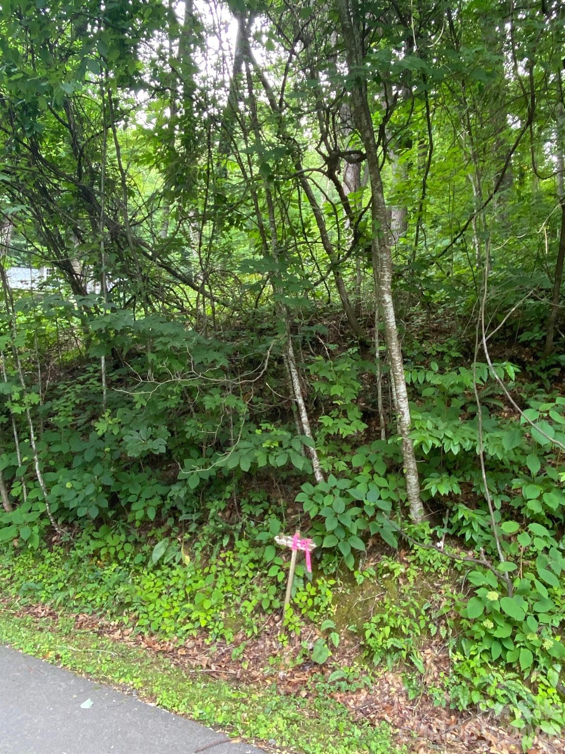 Pinnacle Ridge - Land