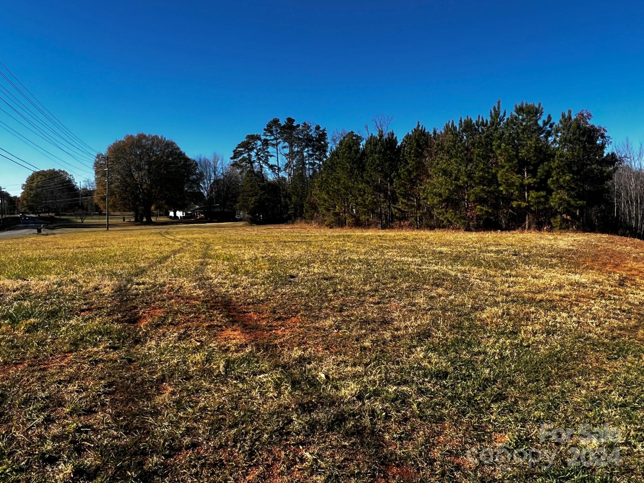 Davidson Pond - Land