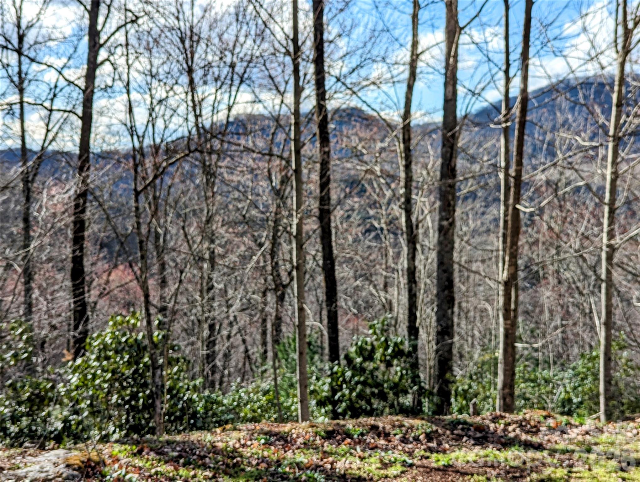 UNRESTRICTED! Acreage located in the beautiful mountains of Tuckasegee, NC. This property is close to many activities that an outdoor enthusiast would enjoy! Tuckasegee is home to three beautiful lakes: Bear, Wolf, and Cedar Cliff Lake.  Boating, fishing, and water fun are just around the corner. Enjoy your private, wooded property with fantastic mountain views!

Property is about 10 minutes to Wolf Creek Lake access and about 15 mins to Cedar Cliff Lake or East LaPorte Park. The Timber Creek Access is about 12 mins away and offers the opportunity for fishing. The entrance to the NC Wildlife Game Lands is only 7 mins away. 

Also located close to the towns of Cullowhee (20 mins), Sylva (30 mins), Lake Toxaway (30 mins), and Cashiers (35 mins).

Property was appraised for $149,000 on 4/22/2024.