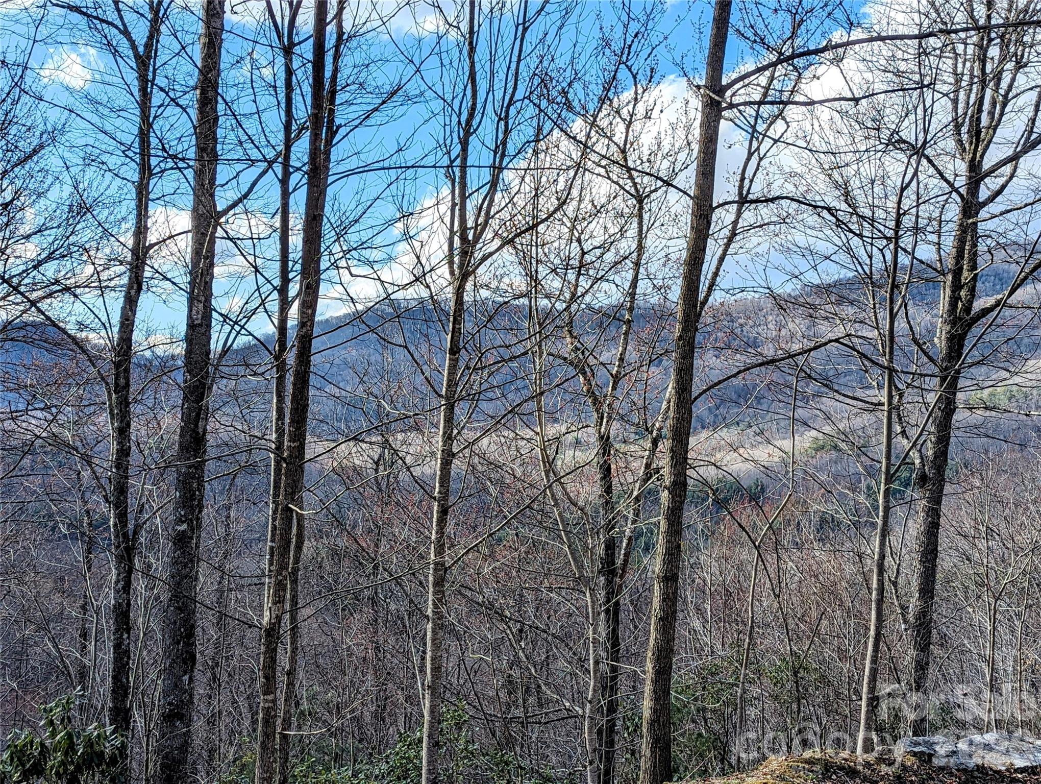 Acreage located in the beautiful mountains of Tuckasegee, NC. This property is close to many activities that an outdoor enthusiast would enjoy! Tuckasegee is home to three beautiful lakes: Bear, Wolf, and Cedar Cliff Lake.  Boating, fishing, and water fun are just around the corner. Enjoy your private, wooded property with fantastic mountain views!

Property is about 10 minutes to Wolf Creek Lake access and about 15 mins to Cedar Cliff Lake or East LaPorte Park. The Timber Creek Access is about 12 mins away and offers the opportunity for fishing. The entrance to the NC Wildlife Game Lands is only 7 mins away. 

Also located close to the towns of Cullowhee (20 mins), Sylva (30 mins), Lake Toxaway (30 mins), and Cashiers (35 mins).

Property was appraised for $149,000 on 4/22/2024.