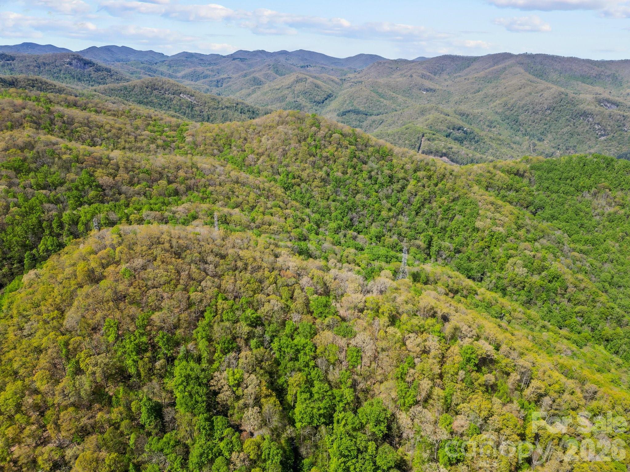 Shook Cove Overlook - Land