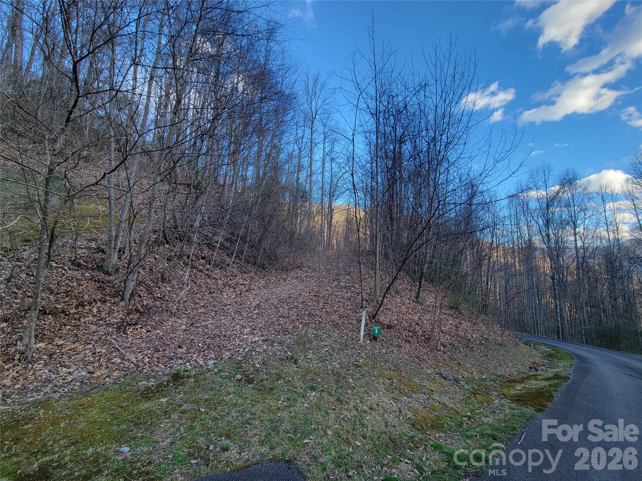 The Cove at Maggie Valley - Land