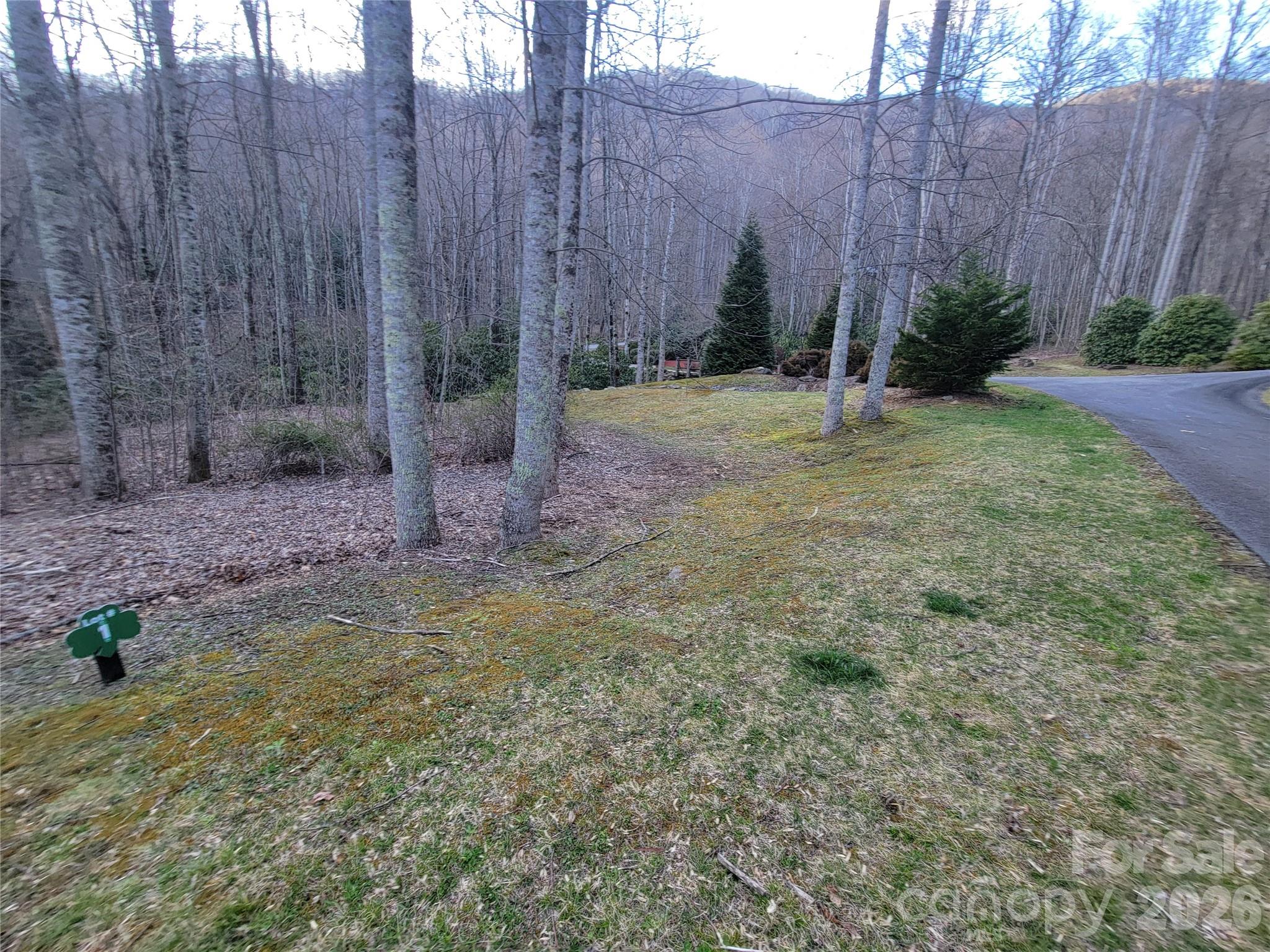 The Cove at Maggie Valley - Land