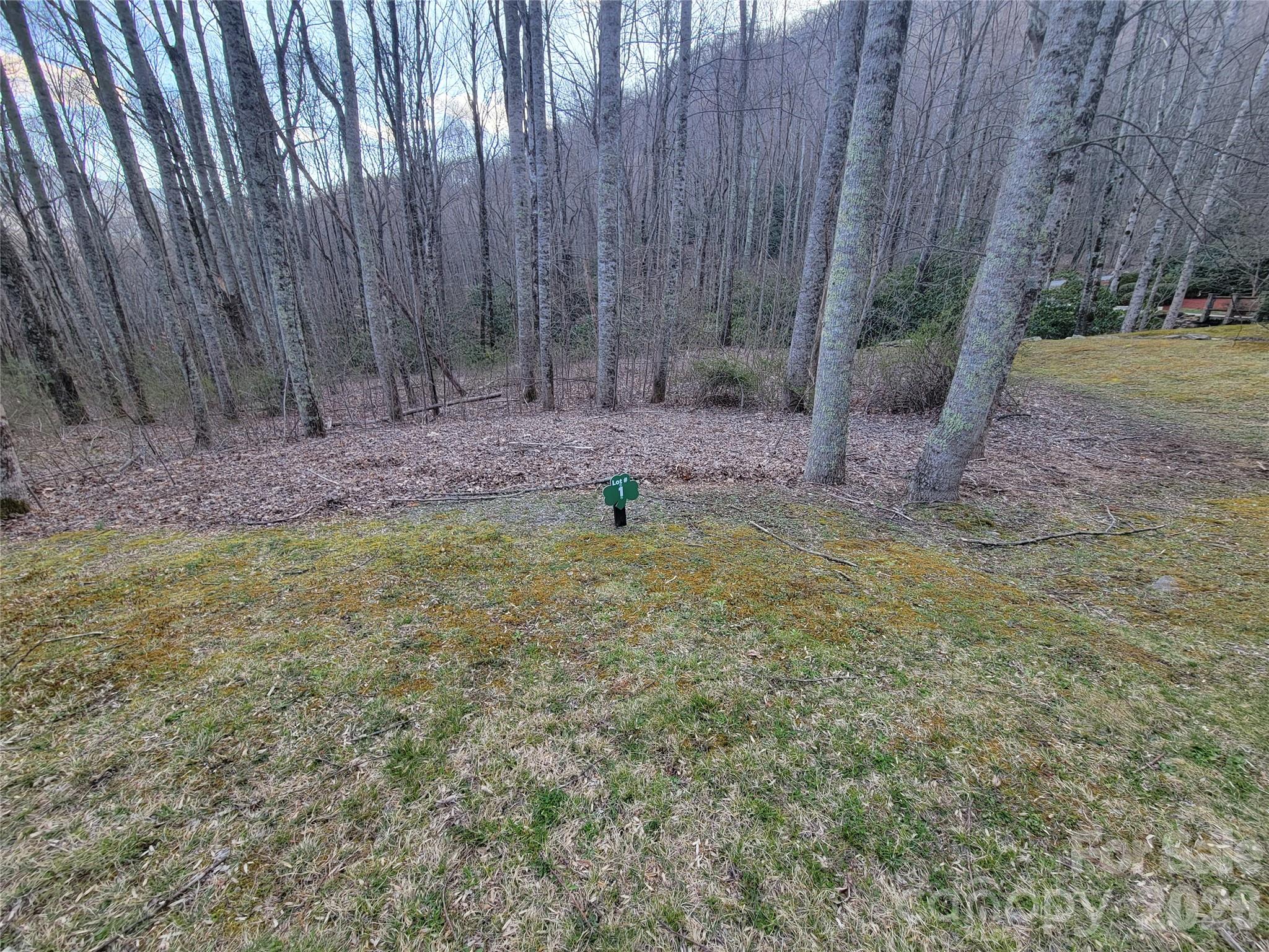 The Cove at Maggie Valley - Land