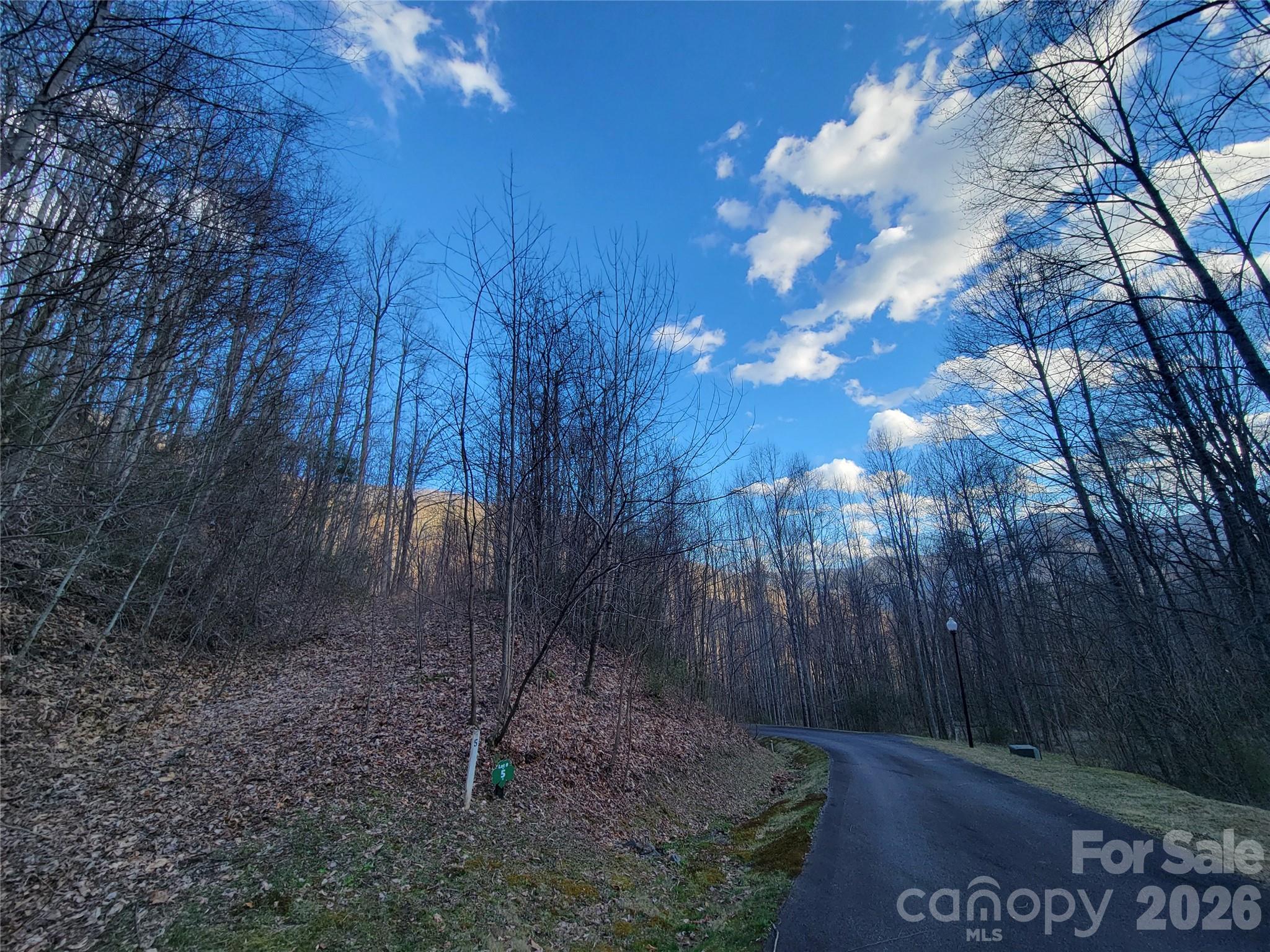 The Cove at Maggie Valley - Land