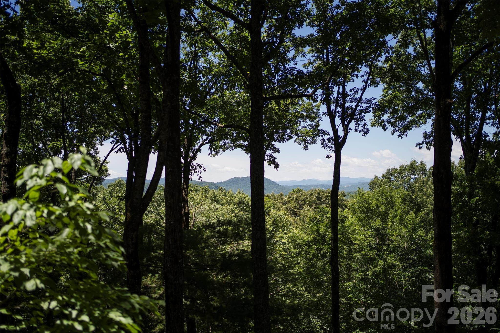 Connestee Falls - Residential