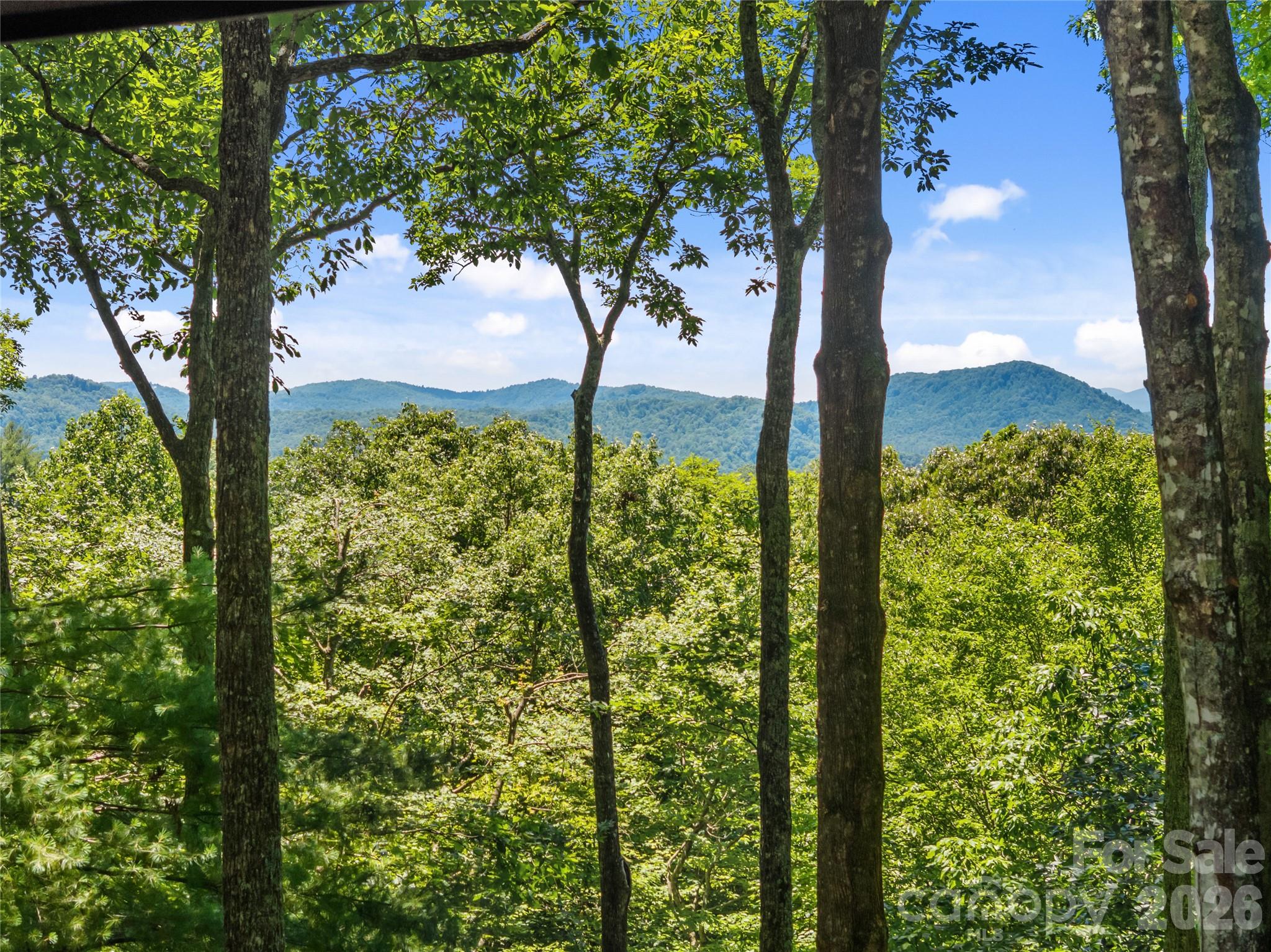 Connestee Falls - Residential