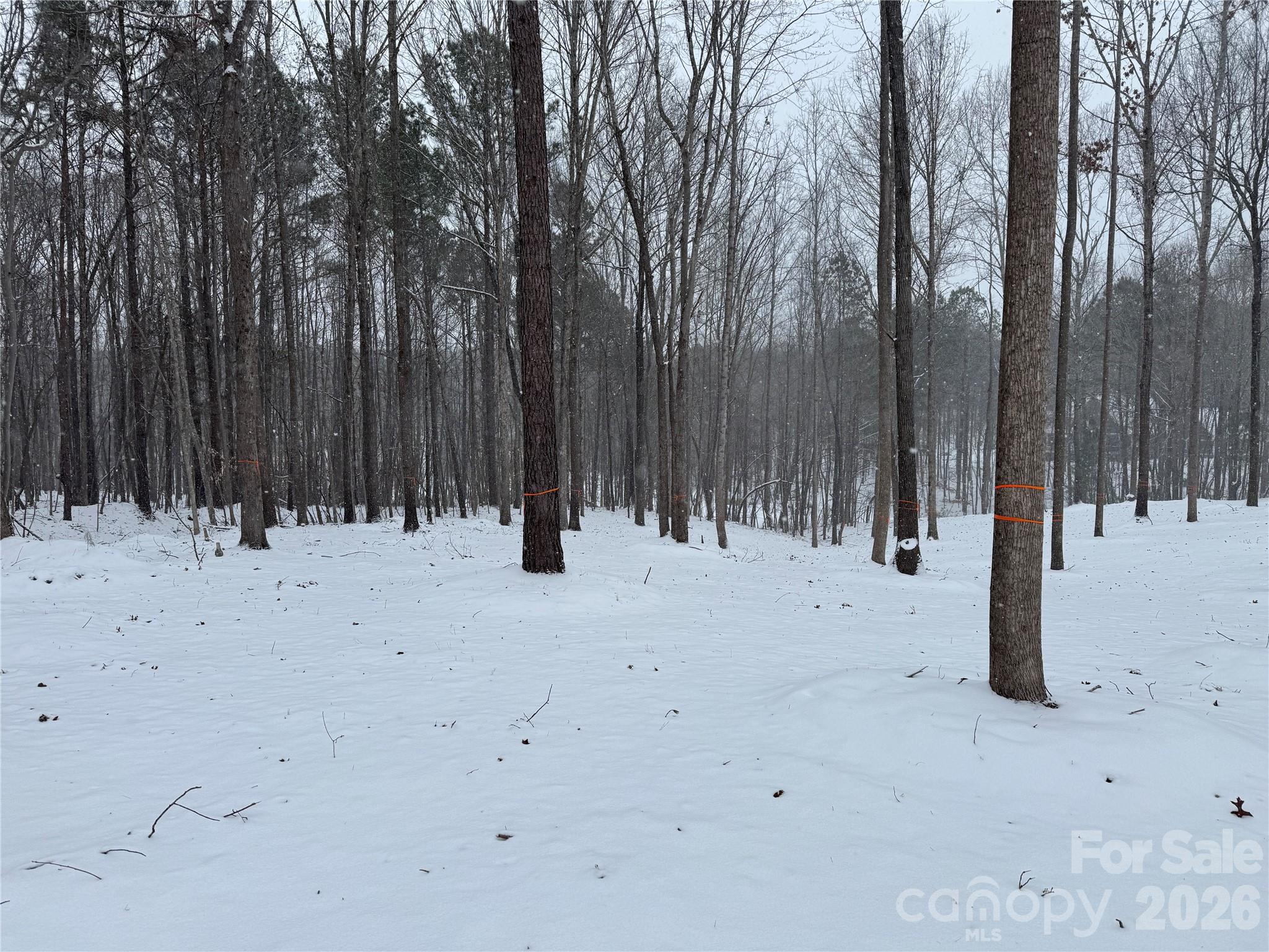 Sella Acres - Land