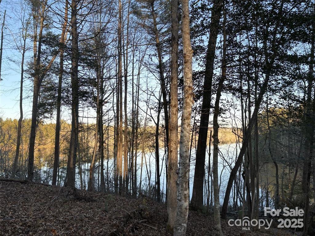 Lake Rhodhiss Estates - Land