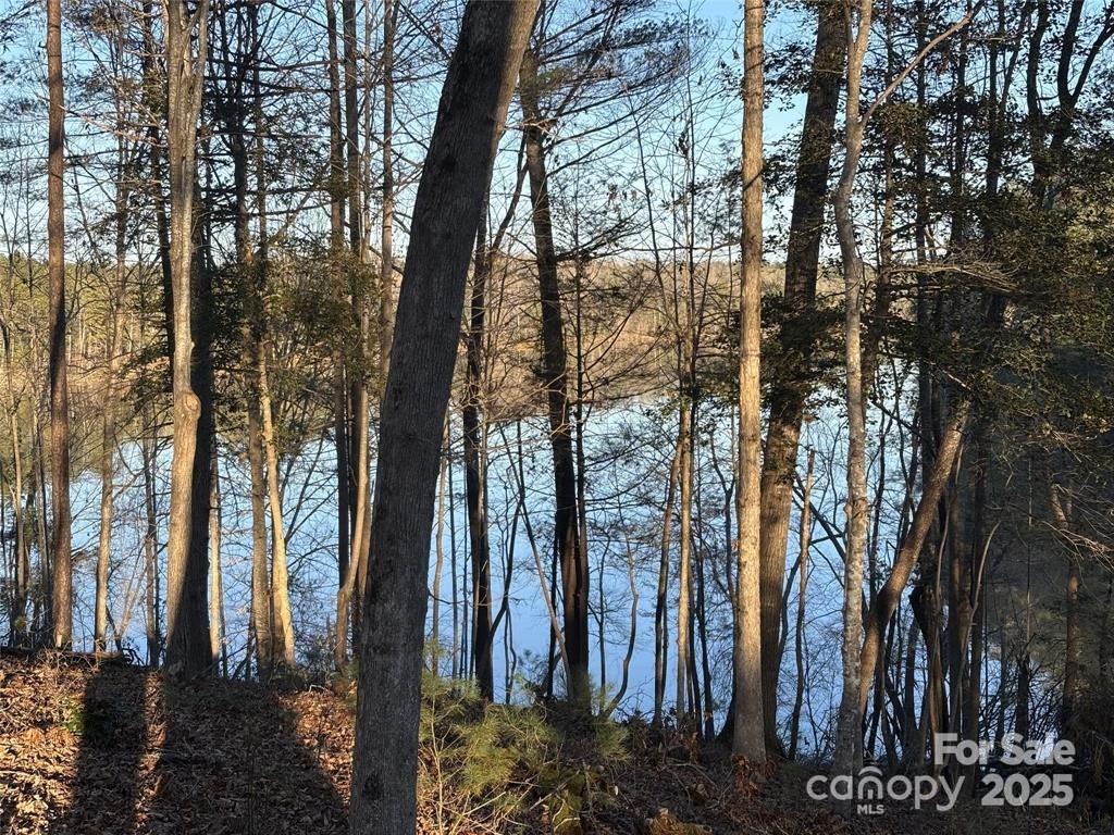 Lake Rhodhiss Estates - Land