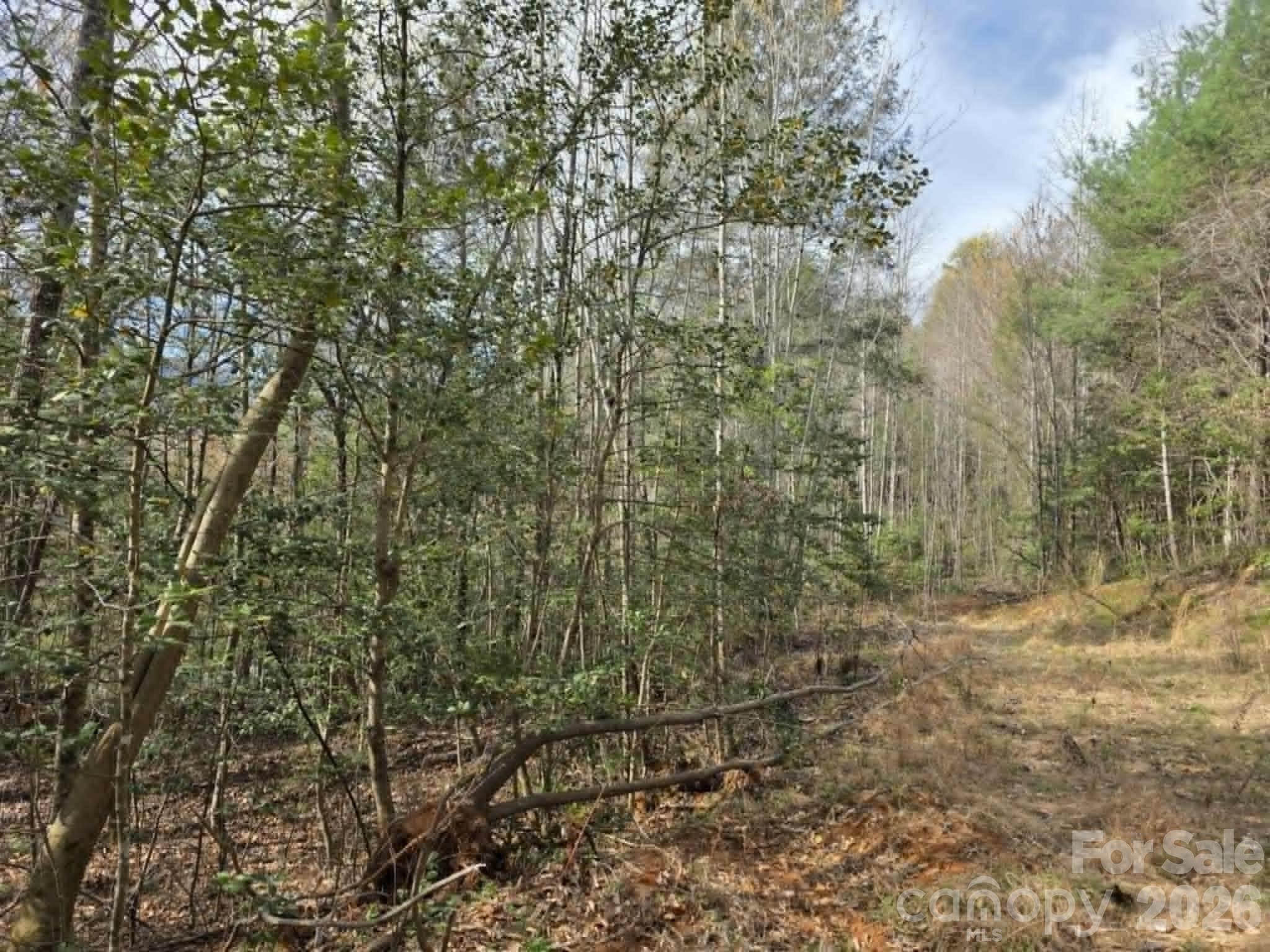 Welcome to Lot 5 in the beautiful Little Toe River subdivision! This 1.5 acre homesite offers the perfect blend of privacy and convenience with both private road and state-maintained road frontage. Nestled in the scenic foothills of Western NC, this property provides an ideal setting for your mountain retreat, full time residence, or investment opportunity.
Enjoy the peace and natural beauty of the area while being just 8 minutes from downtown Old Fort, where you'll find local breweries, restaurants, bakeries, coffee shops, and easy access to I-40. Whether you're seeking outdoor adventure, small-town-charm, or a convenient location between Asheville and Marion, Lot 5 offers endless possibilities to create your dream home.