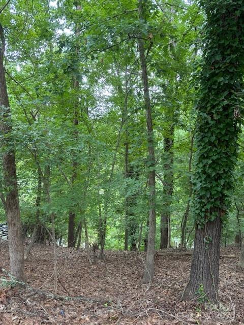 Bring your own builder and design the custom home you’ve always envisioned on this beautiful water-view lot in the highly desirable Tega Cay community on Lake Wylie. Enjoy year-round resort-style living with access to a golf course, outdoor pool, clubhouse, tennis courts, walking trails, playgrounds, boat ramps, and more. Take in breathtaking sunsets from your future home and embrace the vibrant lake lifestyle.

Tega Cay is consistently ranked as one of the best places to live in the Carolinas—offering convenience to shopping, dining, recreation, and I-77 for an easy commute to Charlotte. No HOA!

?? Lot 45 (MLS# 4295290) is also available, and the seller prefers to sell them together.

Buy. Build. Enjoy. Live the Tega Cay lifestyle 365 days a year!