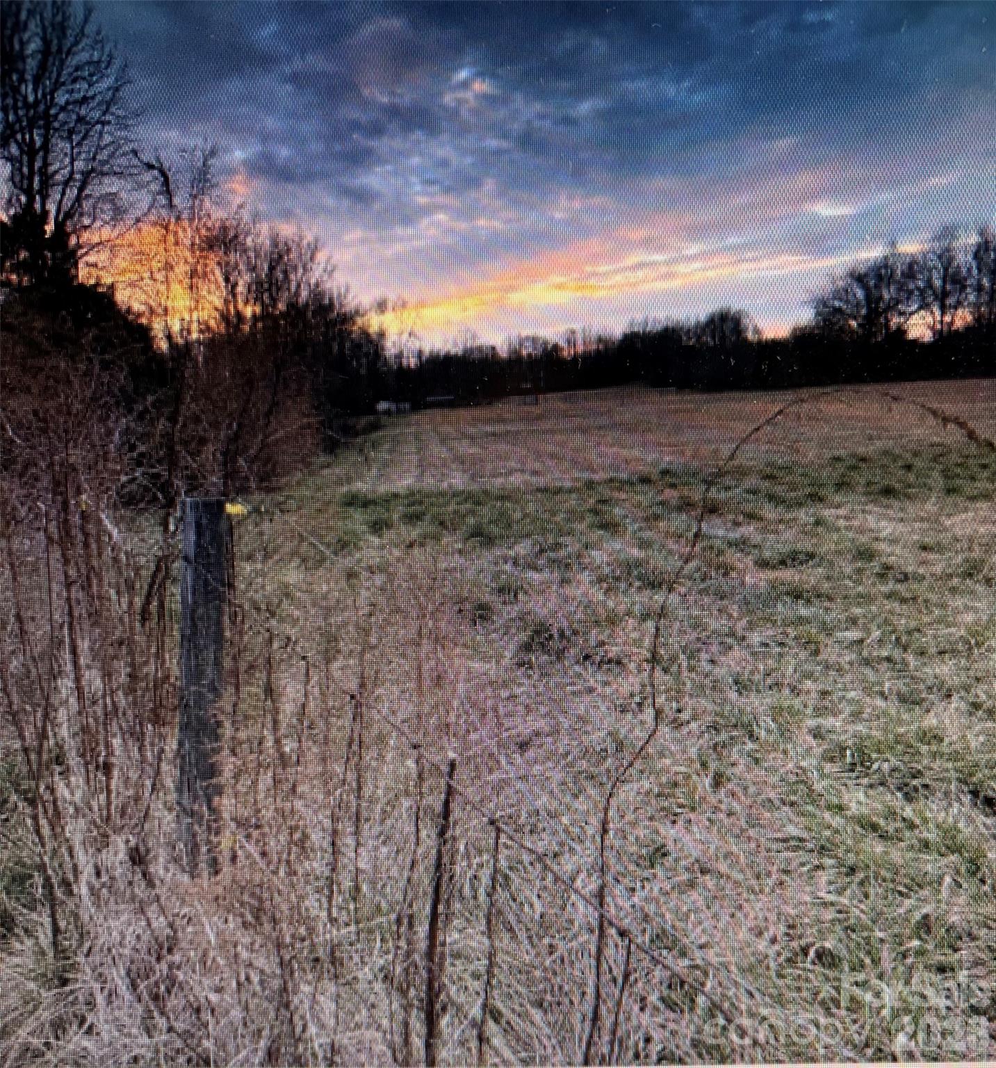 none - Farm
