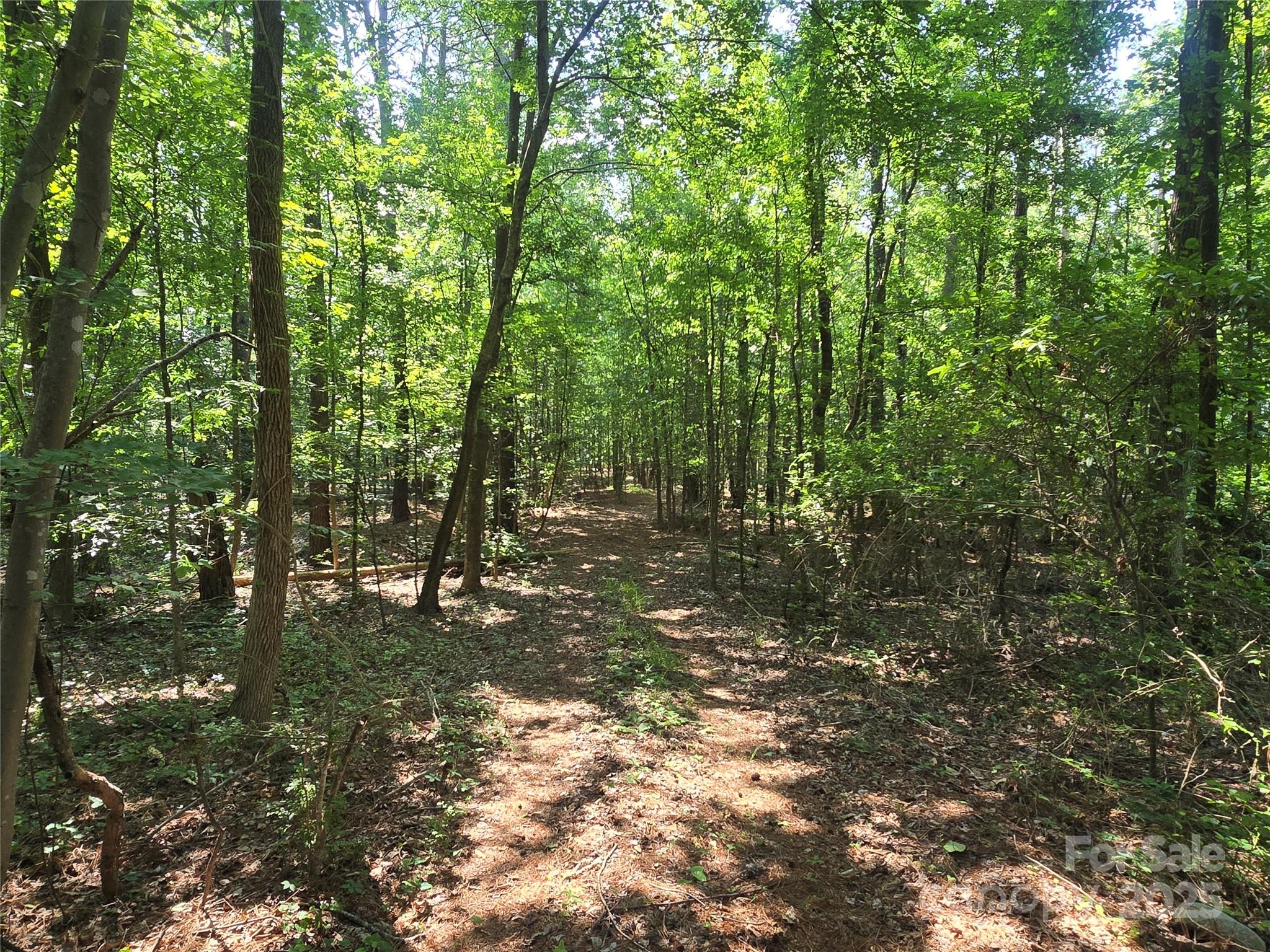 Beautiful secluded lot perfect for building your dream home! Enjoy the peaceful sounds of nature as you stroll through the woods to a bubbling year-round creek. This picturesque acreage offers the sights and serenity of true country living — an ideal escape for anyone seeking privacy and tranquility.

The property features mature trees and hardwoods throughout, creating endless possibilities for your future homesite. The front portion of the lot is accessible by car if driven slowly.

Lancaster County water tap is required, and a soil evaluation will be needed.

Don’t miss this opportunity to own your own peaceful retreat — schedule your showing today!