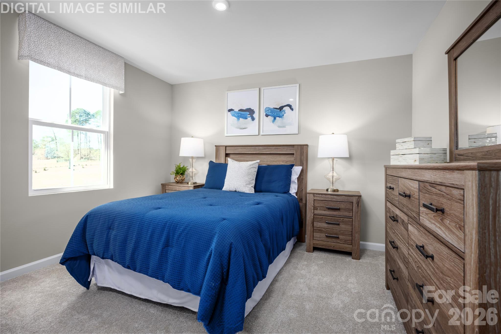 Laney Farms - Residential