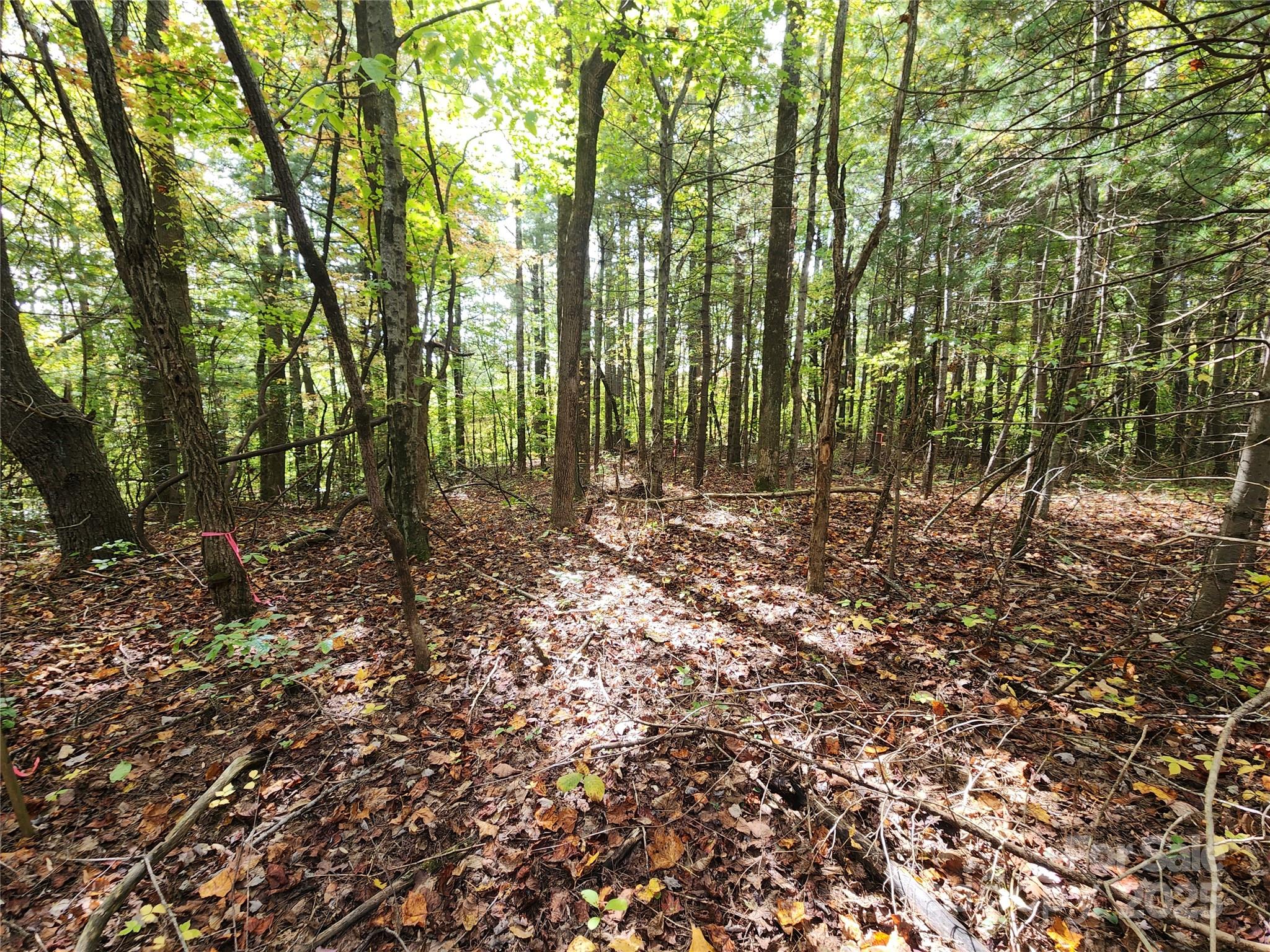 Ann Mountain Estates - Land