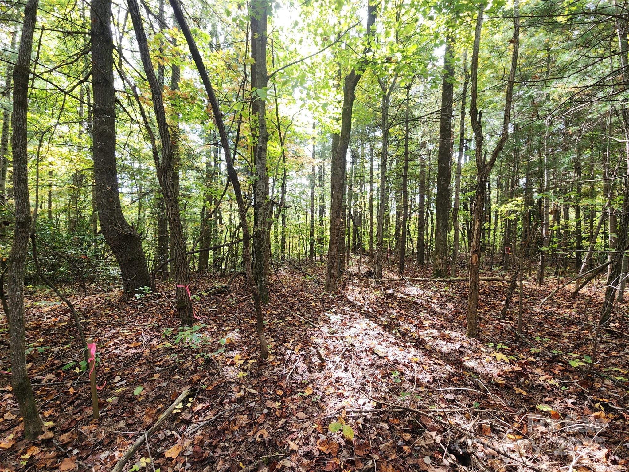 Ann Mountain Estates - Land