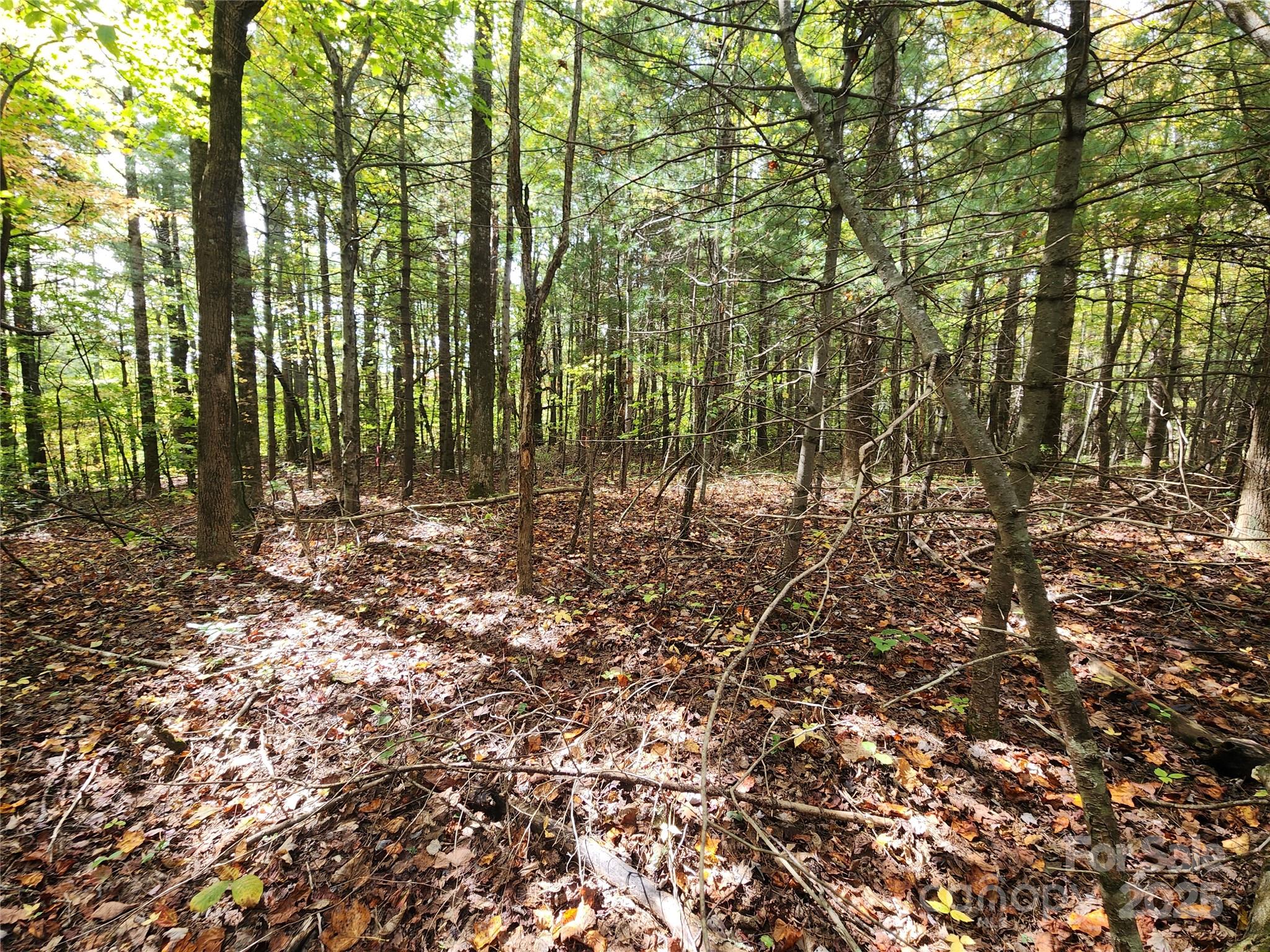 Ann Mountain Estates - Land