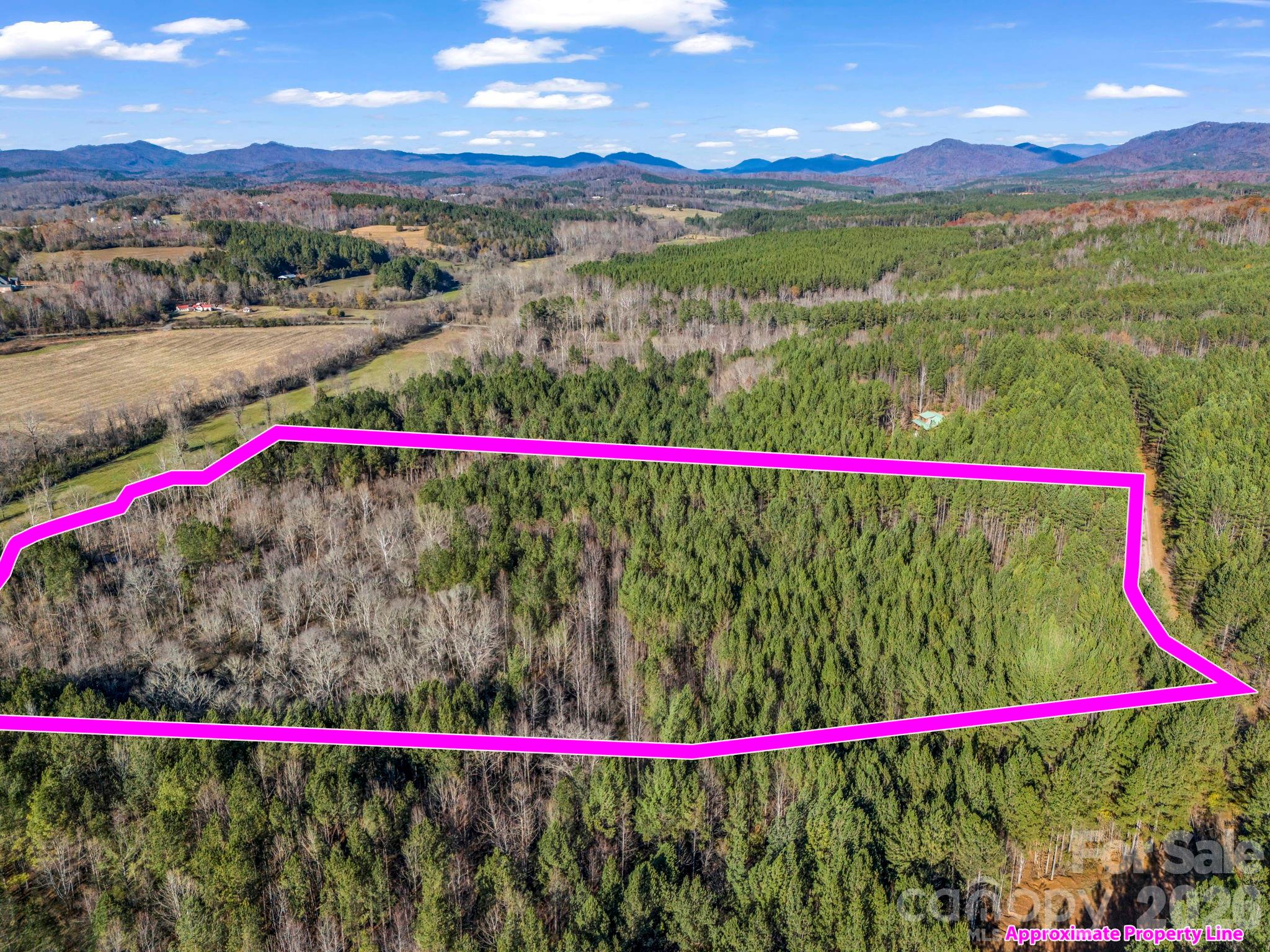Discover 13.5+ acres of pure Carolina beauty in Rutherfordton - Bring your offer today with the price improvement (although the seller had some paths put in) to make this property yours!!! This exceptional tract offers a serene, park-like setting with a perfect balance of privacy, accessibility, and natural charm. Tucked away on a peaceful country road, the property greets you with level, usable land—ideal for a wide range of possibilities, from building your dream home or mini-farm to creating a private retreat or recreational paradise. Multiple options for building, tuck away far from the road in a tree-surrounded paradise and enjoy as much seclusion as you want --- a path in, easily marked your way at the end of late Spring! ;) ****You’ll find this parcel is a true haven for wildlife—deer, turkey, and songbirds call this place home—making it a wonderful choice for outdoor enthusiasts, nature lovers, or anyone who dreams of a peaceful escape surrounded by native beauty.****

The land itself is a rare find: gently rolling to flat terrain, loblolly pines and mature hardwoods, and very little underbrush where the "original" trees are/were make the acreage easy to explore and envision. A flowing creek meanders through the middle and rear portions of the property, adding to the sense of tranquility and natural character! 

Location is key, and this property delivers. Situated in the foothills of the Blue Ridge Mountains, you’ll enjoy the quiet of the countryside while being just minutes from the conveniences of Rutherfordton, Forest City, and Lake Lure. Rutherfordton is known for its charming downtown, historic Main Street, seasonal festivals, and small-town hospitality. Lake Lure, Chimney Rock, and Tryon International Equestrian Center are all within an easy drive, offering boating, hiking, equestrian events, and year-round recreation. Asheville and Spartanburg are also accessible for day trips, dining, and cultural amenities—perfect for those who want to live quietly yet stay connected.

Offering the best of both worlds: peaceful surroundings without HOA restrictions or heavy rules! Envision a custom mountain farmhouse, a cabin by the creek, a family homestead, or simply a place to relax and camp on weekends; this property provides the space and flexibility to bring your ideas to life... OR hold onto as an investment for down the road! With ample road frontage and level topography, access is simple, and utilities are available nearby, making future development straightforward.

Imagine mornings with coffee by the creek or crick! LOL Afternoons exploring your own wooded sanctuary, and evenings under endless stars. Here you can establish gardens, keep horses or livestock, or design trails for ATV riding, hiking, or horseback riding—all on your own land. Properties of this size and usability are increasingly rare in Rutherford County, especially with such a balanced combination of open, buildable space and natural features.

Don’t miss your chance to claim this one-of-a-kind property in a growing, desirable part of Western North Carolina. Bring your dreams, plans, and imagination—the possibilities are endless. Schedule your visit today and experience firsthand the peace, potential, and promise of 13.5+ acres on Farmer John Trail.