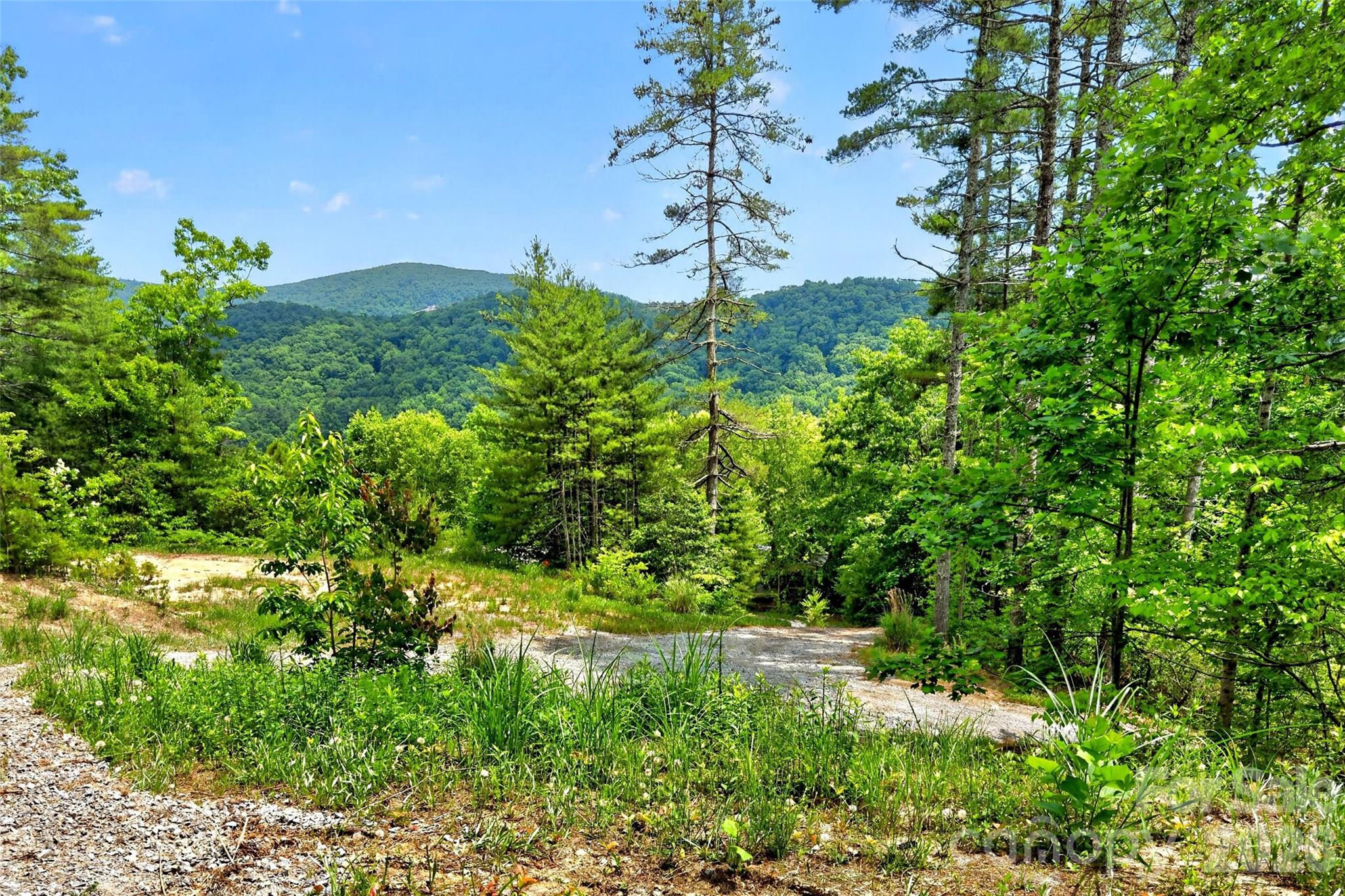 An extraordinary approx 22-acre sanctuary positioned directly across the entrance to Dupont State Forest, offering unlimited possibilities for visionary development. Whether you’re building an elite family compound, creating a high-end hospitality venture, establishing an exclusive retreat destination, a new development or a private retreat the cleared primary site and abundant secondary build options are already in place. The existing tiny home (with wheels) has a permanent deck overlooking a private pond —immediate potential to generate rental income or serving as guest quarters while you build or develop your dream. 
Two serene ponds providing aesthetic beauty, fishing, and water features. Complete privacy and creative freedom with no HOA or deed restrictions. Shared well access. Minuets away from world-class hiking, waterfalls, and outdoor recreation. Just 20 minutes to Hendersonville, 20 minutes to Brevard, and 35 minutes to Asheville Airport.