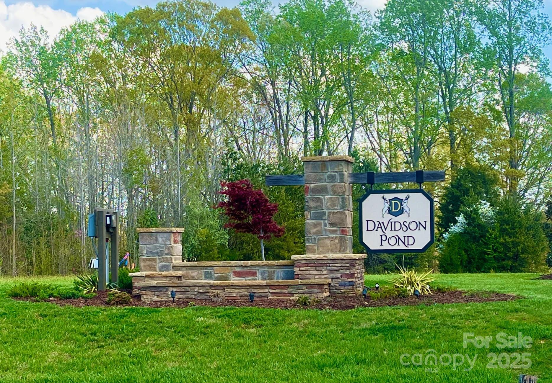 Davidson Pond - Land