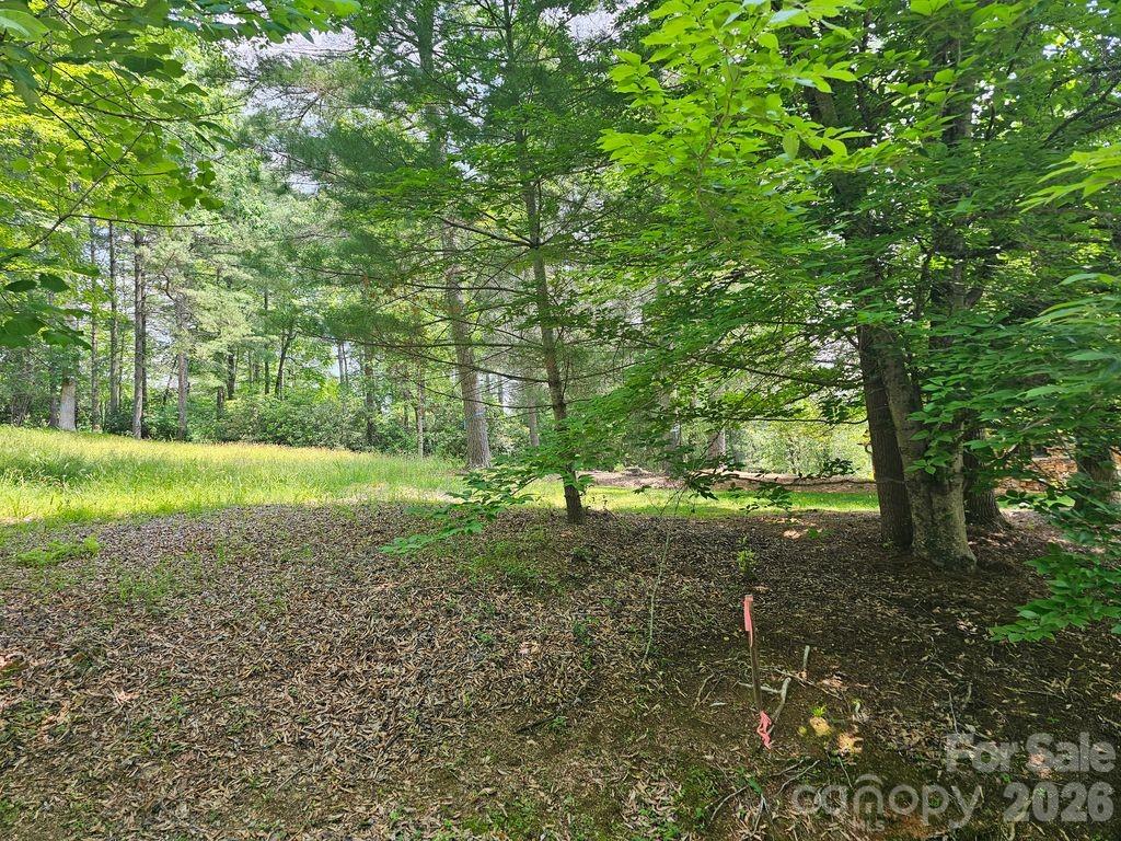 Straus Park - Land