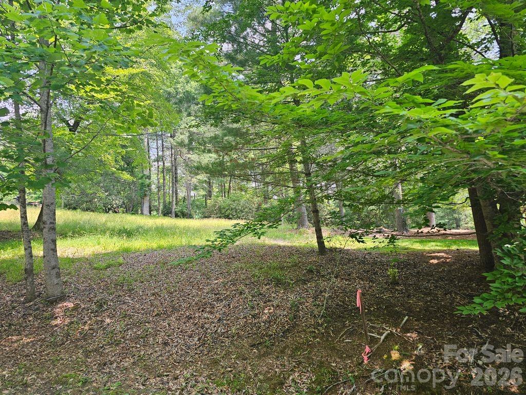 Prime, genlty laying and build-ready homesite nestled in the highly sought-after Straus Park Community with a stunning view of Lake Straus.

Set along the picturesque Allison Creek Trail, a street with exceptional mountain architecture, this lot offers both serenity and convenience and is just minutes from everything Brevard has to offer. Enjoy quick access to charming shops, art galleries, local dining, and outdoor adventures in nearby national and state forests, as well as the renowned Brevard Music Center.

Living in Straus Park means access to exceptional community amenities, including: scenic lake and waterfront recreation, canoe and paddleboard storage, swimming pool and Lake House, tennis courts and walking trails, sidewalks and a community garden.  If you're looking for peaceful lake views, a vibrant community, and a ready-to-build opportunity—this homesite delivers.
