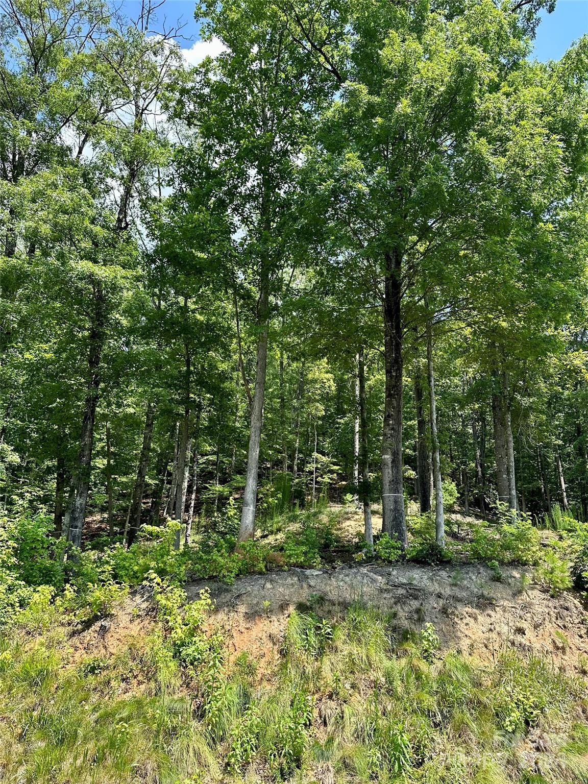 French Broad Crossing - Land