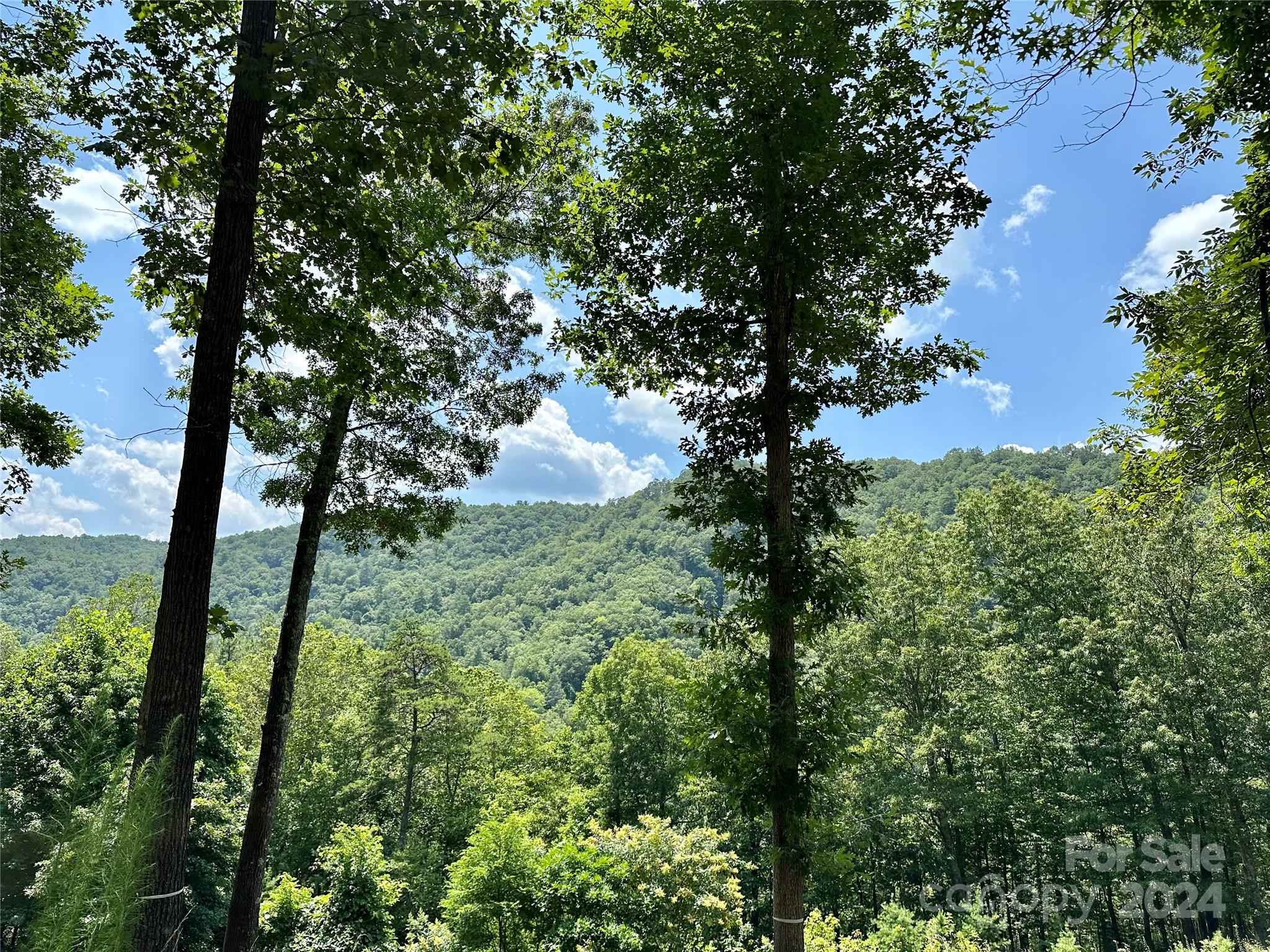 French Broad Crossing - Land