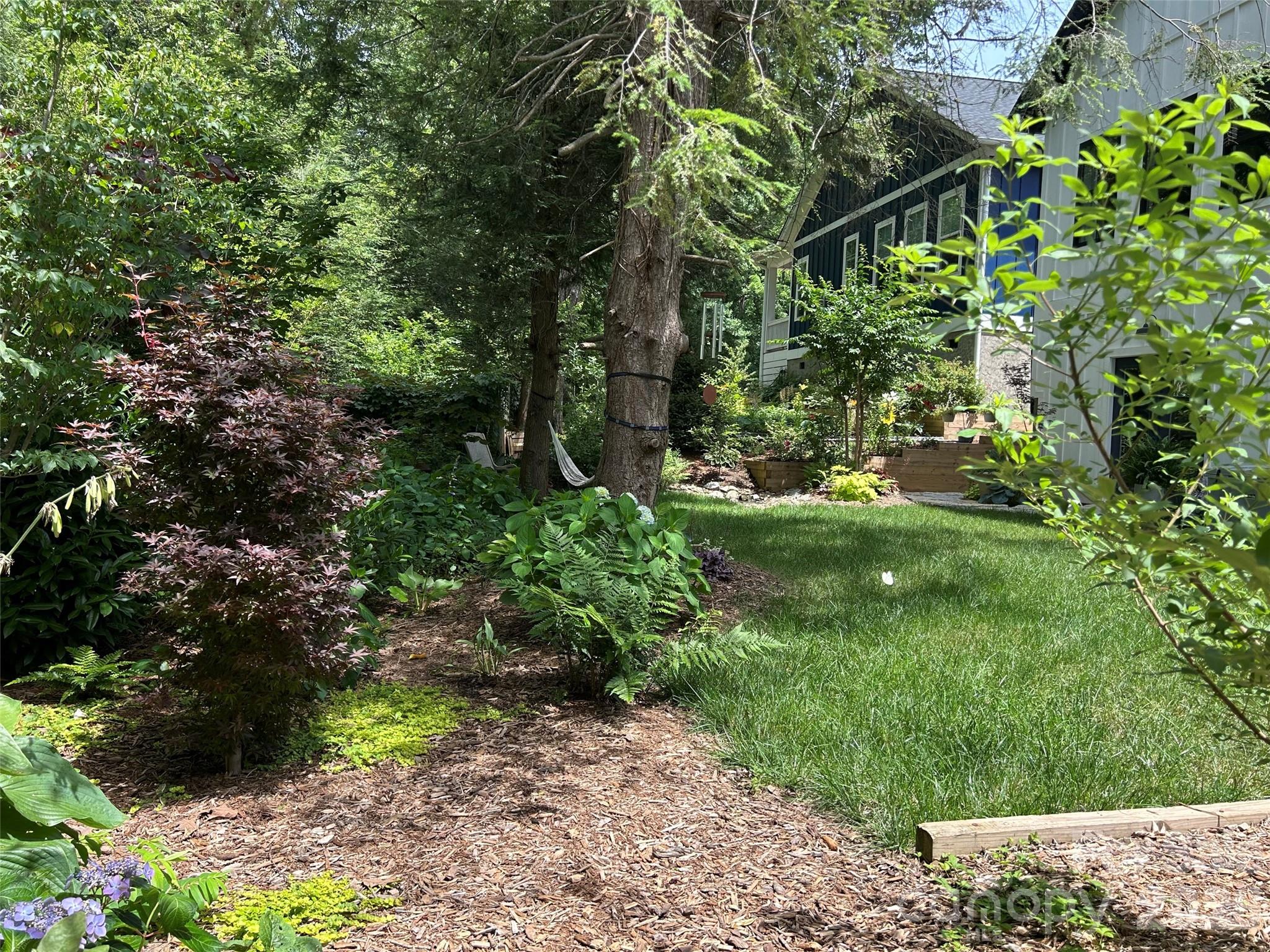 Brevard Ridge - Residential