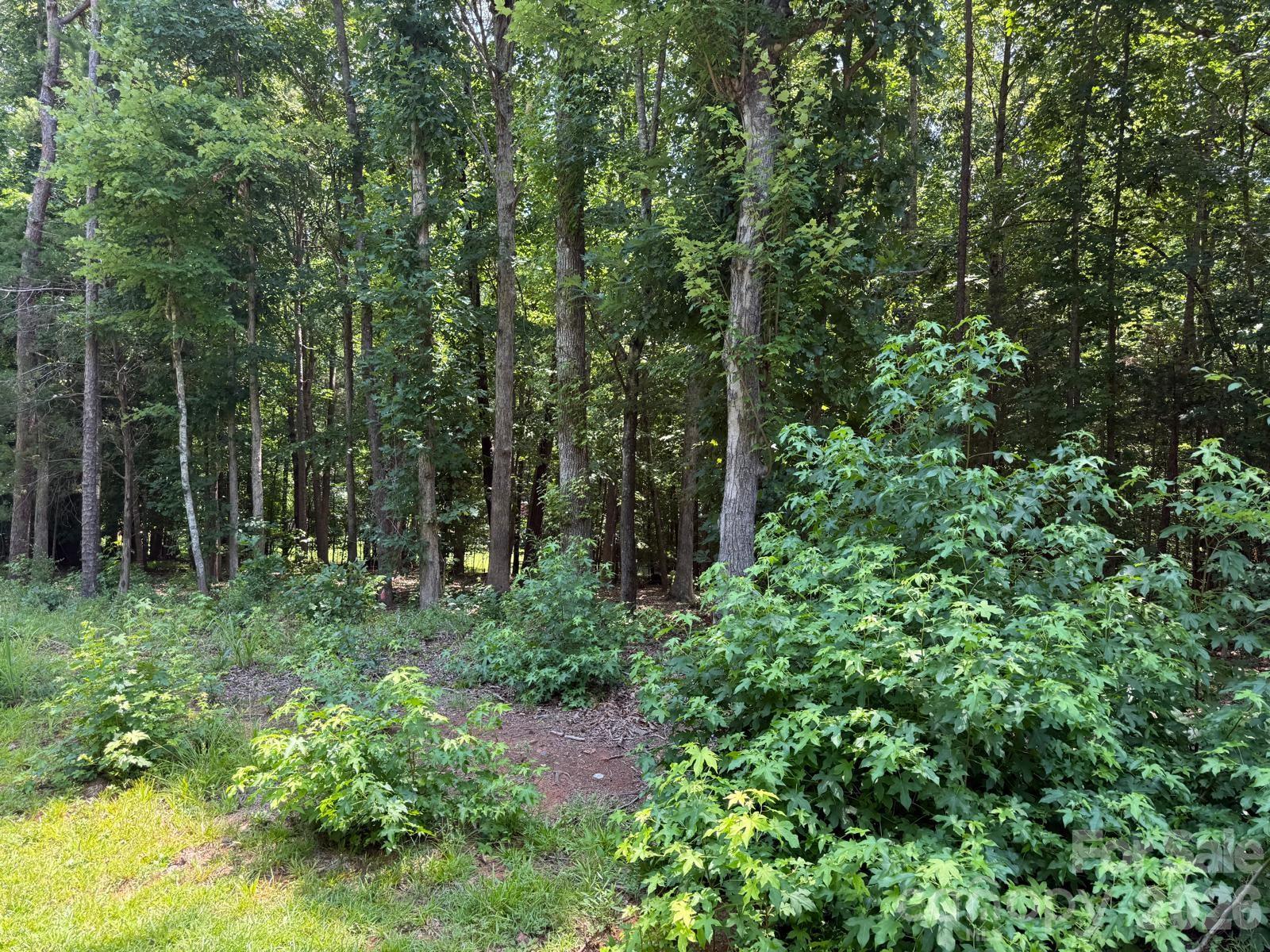 Discover the perfect setting for your future home on this beautiful 0.75-acre wooded lot, offering a gentle slope that provides excellent building potential while preserving the natural beauty of the landscape. Mature trees create a peaceful, private setting with plenty of flexibility for your homesite design.  No HOA.
Conveniently located less than five minutes from the charm of historic downtown Waxhaw, you'll enjoy easy access to locally owned shops, restaurants, parks, and community events while still appreciating the tranquility of a rural residential setting. Whether you're looking to build your primary residence or invest in land in the desirable Waxhaw area, this property offers an outstanding combination of natural beauty, privacy, and convenience.
