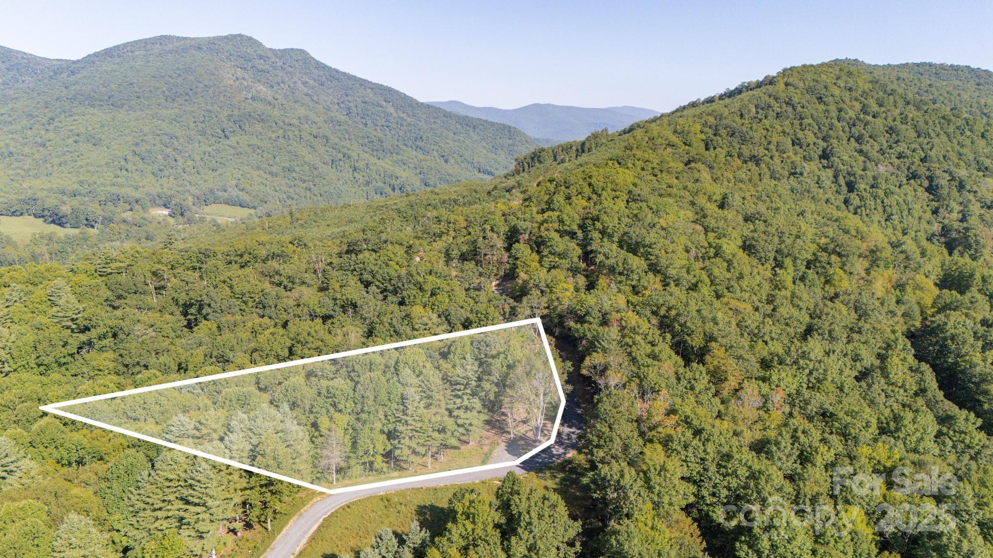 Don't miss out on the chance to make this piece of Spruce Pine yours – a canvas for your dream mountain retreat. Whether you're looking to build a permanent residence, a vacation getaway, or a seasonal escape, this almost three acre property offers the perfect canvas for your vision. Embrace the mountain lifestyle and create lasting memories in this idyllic setting. Act now, and let the adventure begin! No time limit to build, minimum square footage of 1200, and modular homes allowed! You can even camp in your RV on your lot before you build. Located close to Linville, Banner Elk, Newland, The Blue Ridge Parkway, everything the mountains has to offer. Fish from the Toe River only one mile away!