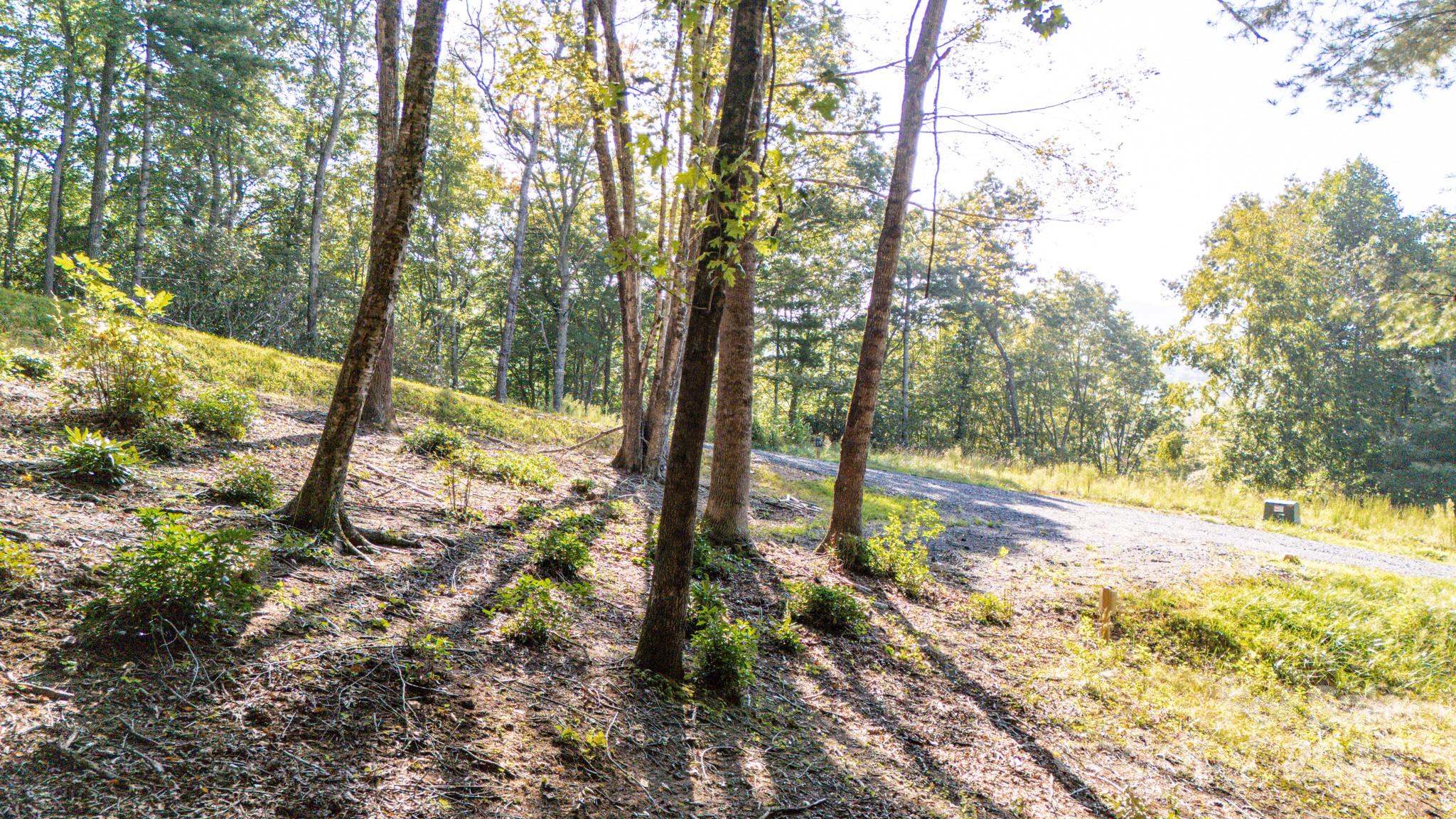 Clear Creek - Land