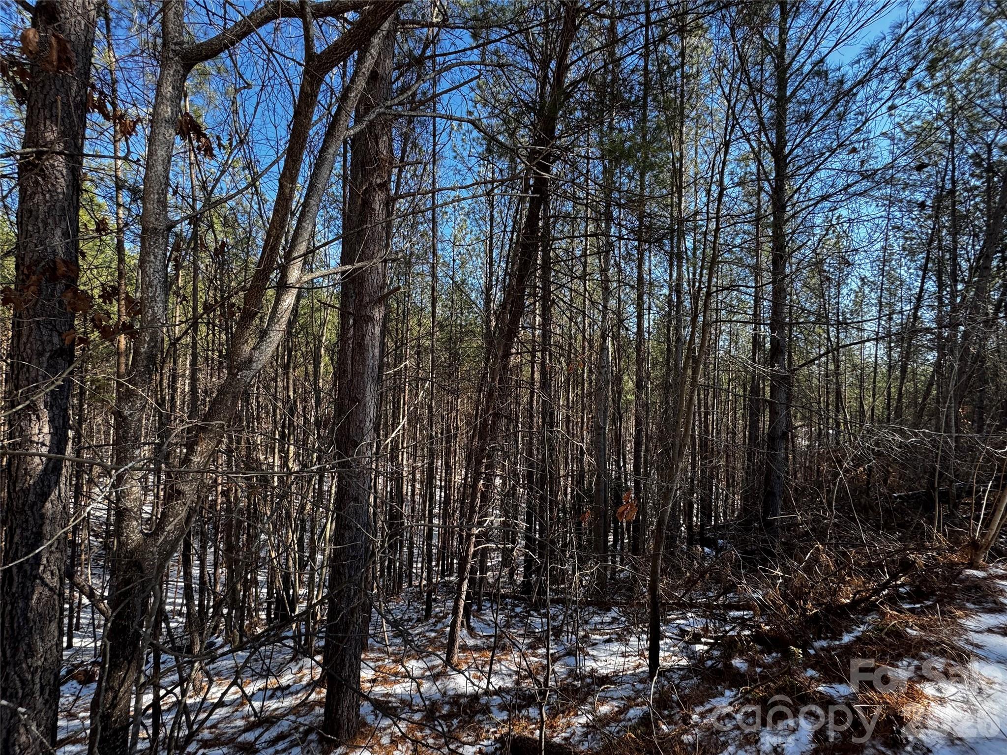 Contuck Preserve - Land