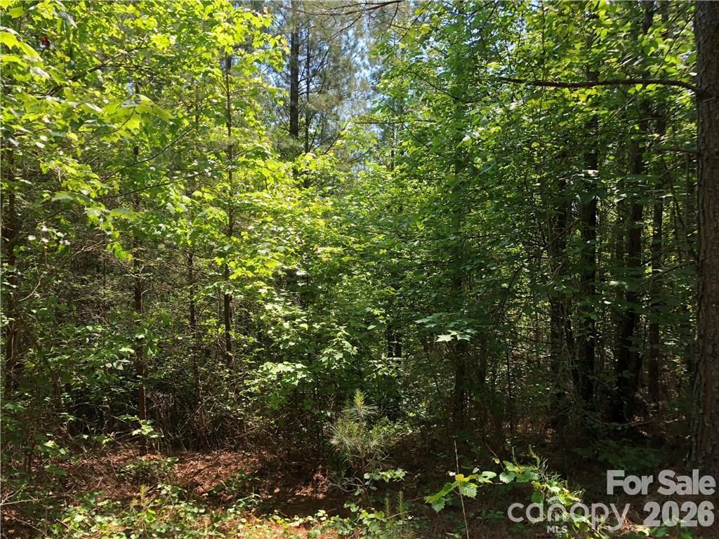 Contuck Preserve - Land